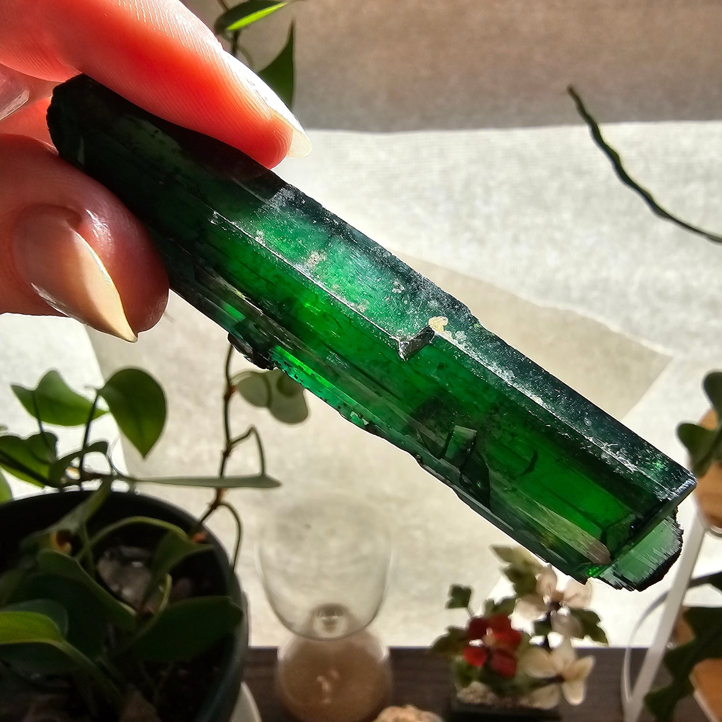 Vivianite Crystal, High Grade, Stunning Raw Gem, AAA Form and Color, Rare Rough Collector Crystal from Brazil, AAA Vivianite