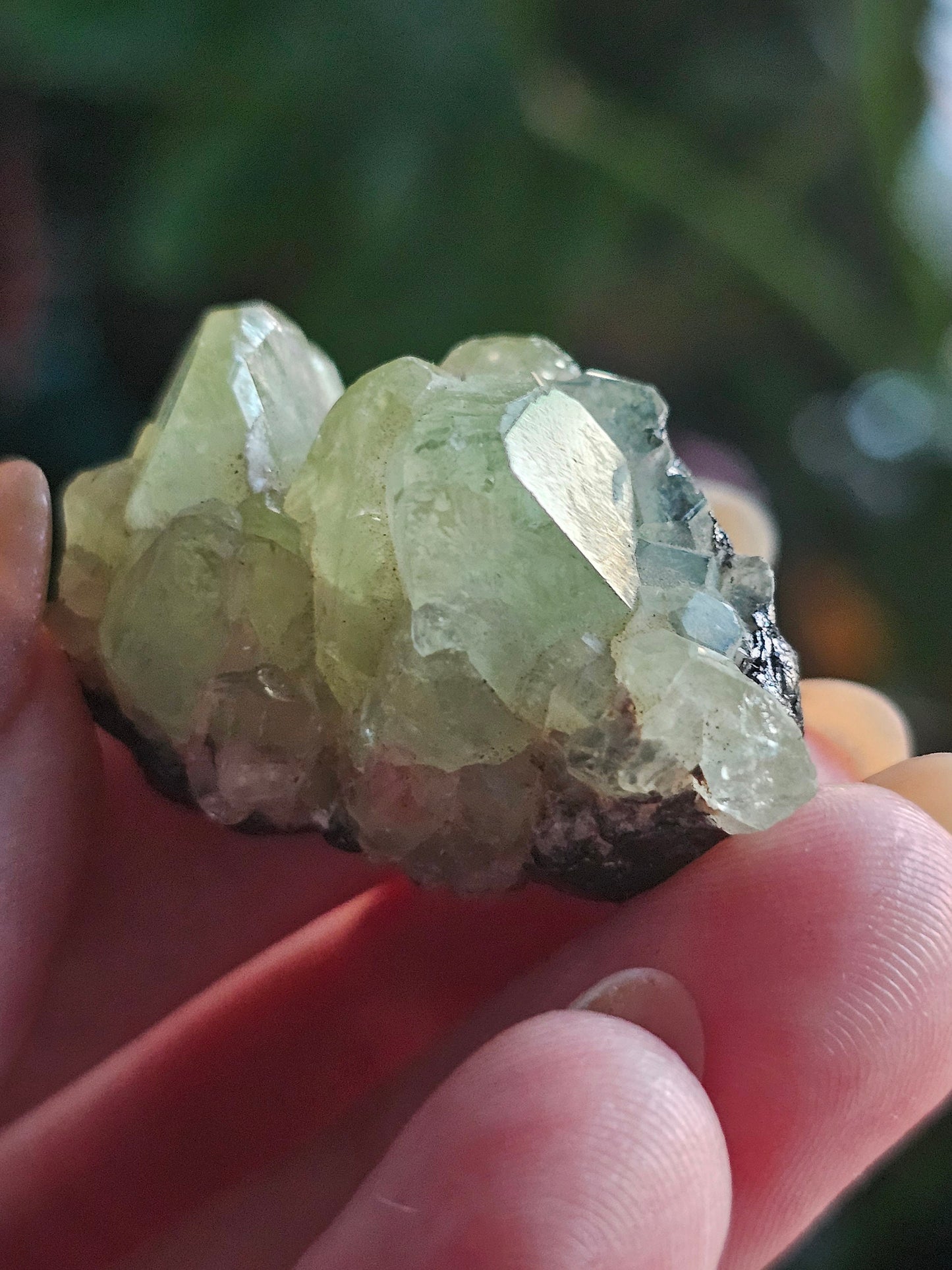 17.5g Diopside Cluster, Raw Rare Mint Green Crystal, Tanzania, Gemmy Diopside Specimen, Old Stock, Collector Gemstone, Lustrous High End Gem