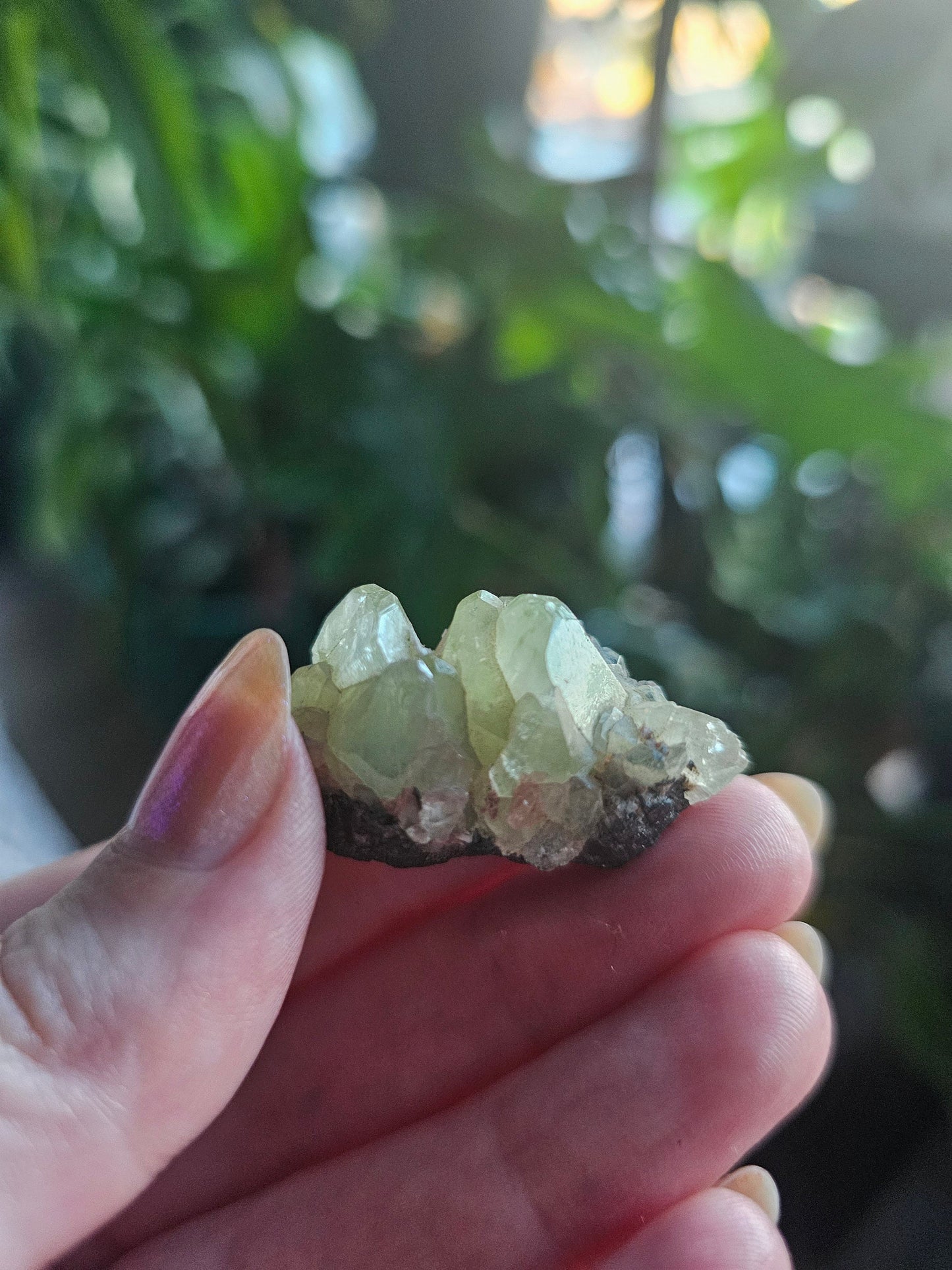 17.5g Diopside Cluster, Raw Rare Mint Green Crystal, Tanzania, Gemmy Diopside Specimen, Old Stock, Collector Gemstone, Lustrous High End Gem