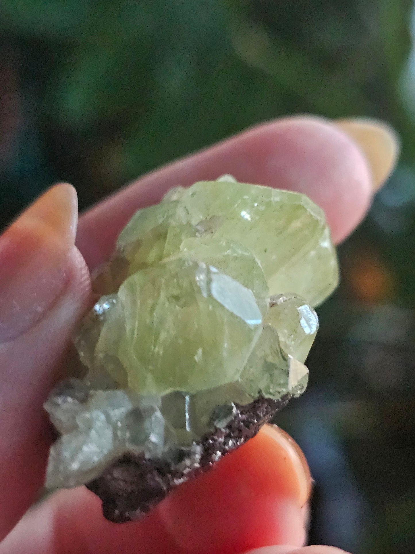 17.5g Diopside Cluster, Raw Rare Mint Green Crystal, Tanzania, Gemmy Diopside Specimen, Old Stock, Collector Gemstone, Lustrous High End Gem