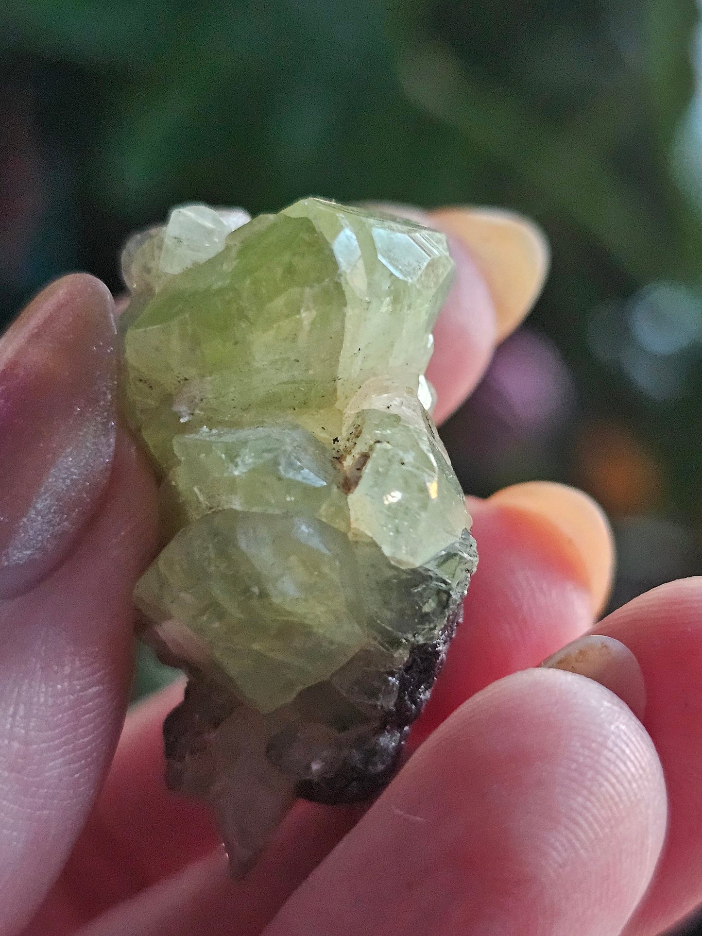 17.5g Diopside Cluster, Raw Rare Mint Green Crystal, Tanzania, Gemmy Diopside Specimen, Old Stock, Collector Gemstone, Lustrous High End Gem