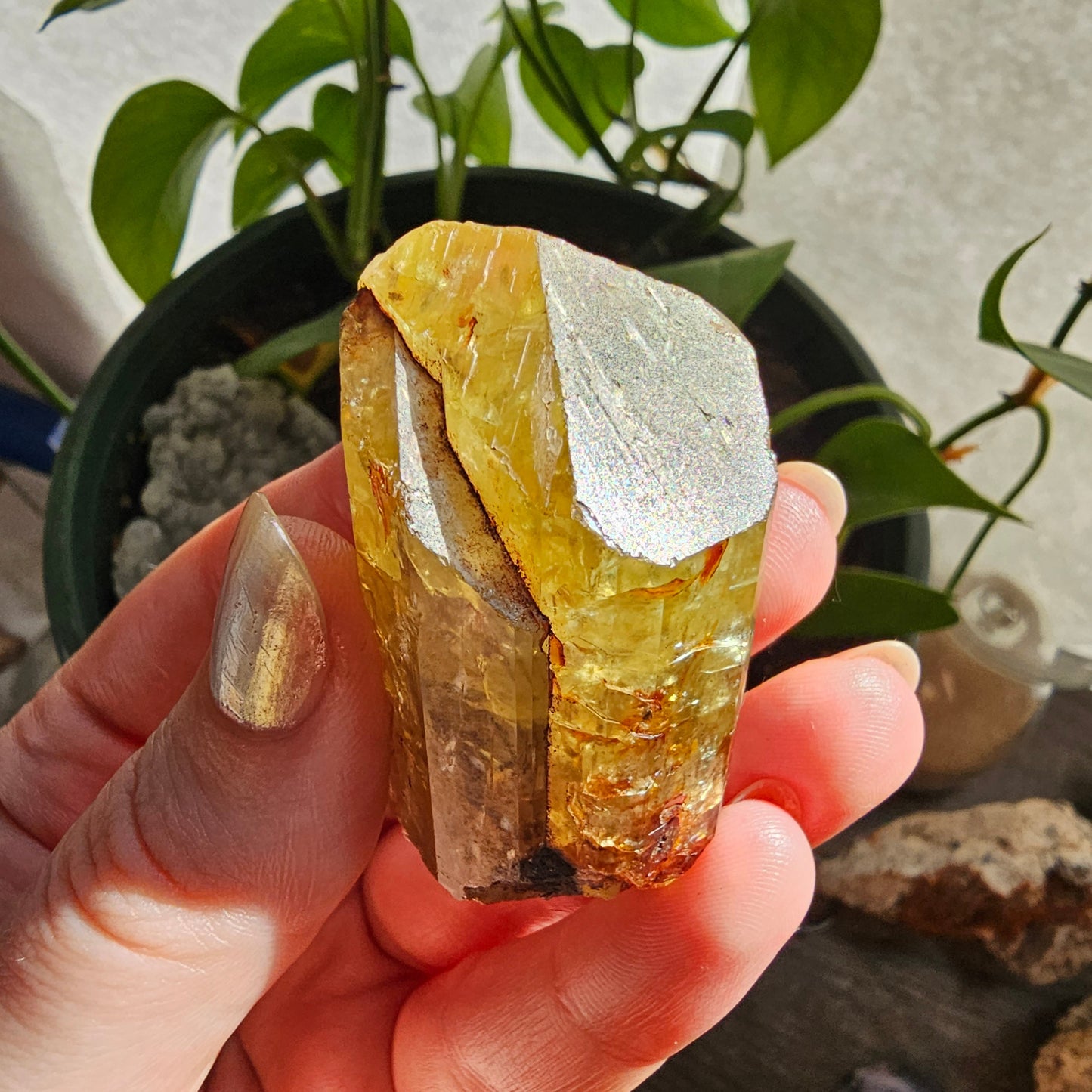 71g Golden Apatite from Durange Mexico, Raw XL Crystal, Yellow Apatite with Hematite, Lustrous Terminated and Twinned, Rough Rare Gemstone
