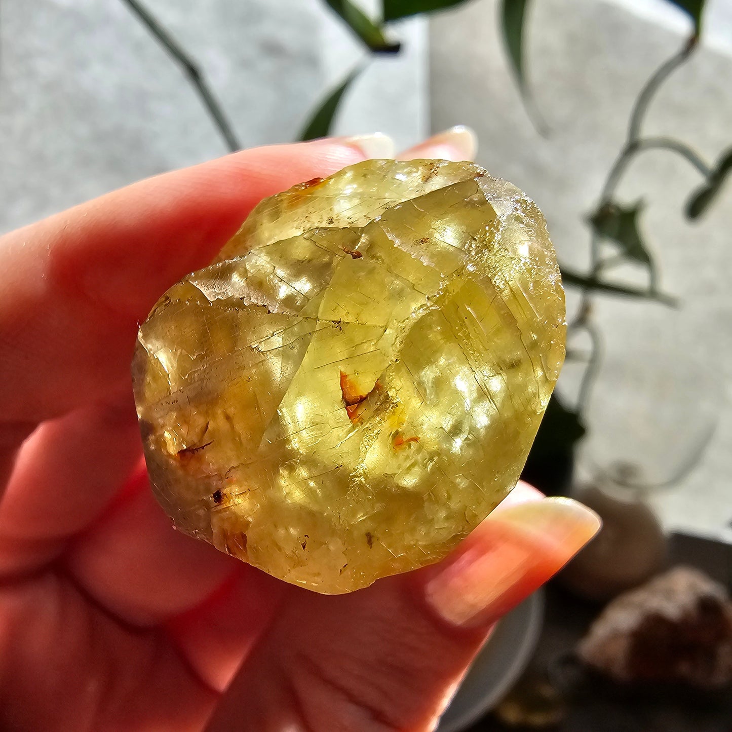 71g Golden Apatite from Durange Mexico, Raw XL Crystal, Yellow Apatite with Hematite, Lustrous Terminated and Twinned, Rough Rare Gemstone