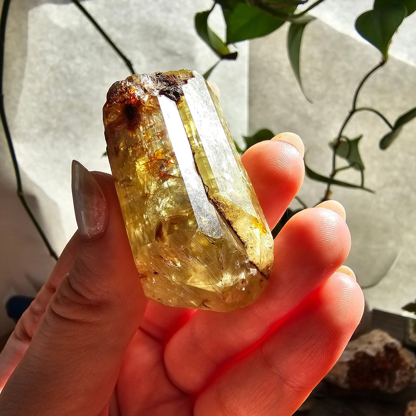 71g Golden Apatite from Durange Mexico, Raw XL Crystal, Yellow Apatite with Hematite, Lustrous Terminated and Twinned, Rough Rare Gemstone