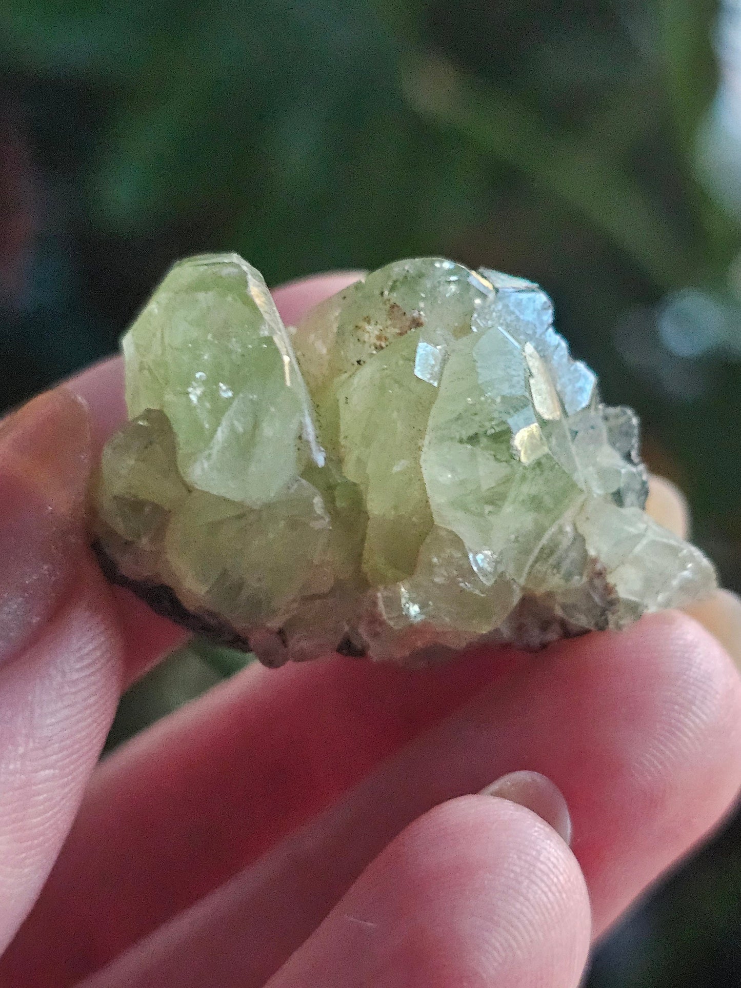 17.5g Diopside Cluster, Raw Rare Mint Green Crystal, Tanzania, Gemmy Diopside Specimen, Old Stock, Collector Gemstone, Lustrous High End Gem