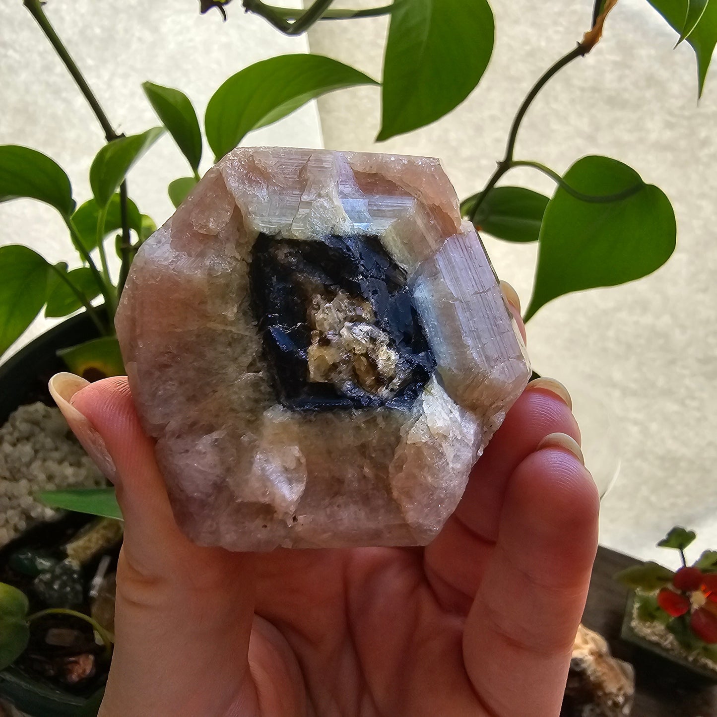 RESERVED for Michelle 158g Pink Garnet, XL Grossular Garnet, Bicolor, Rare Rough Stone, Collector Gem, Sierra de Cruces Mexico, Old Stock