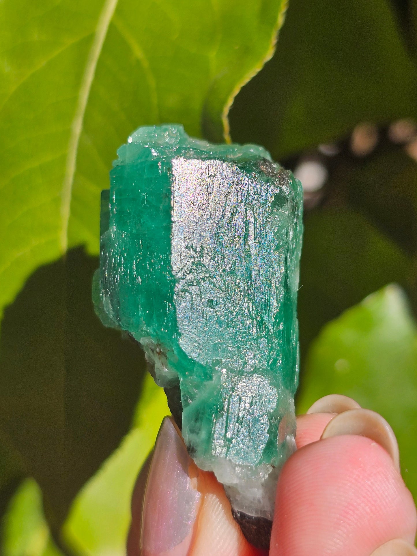 26g!! Raw Emerald Crystal w Sparkling Black Biotite, Chitral Pakistan, Rare Terminated Beryl, Green, Gemstone Collection, Jewelry, Rough Gem