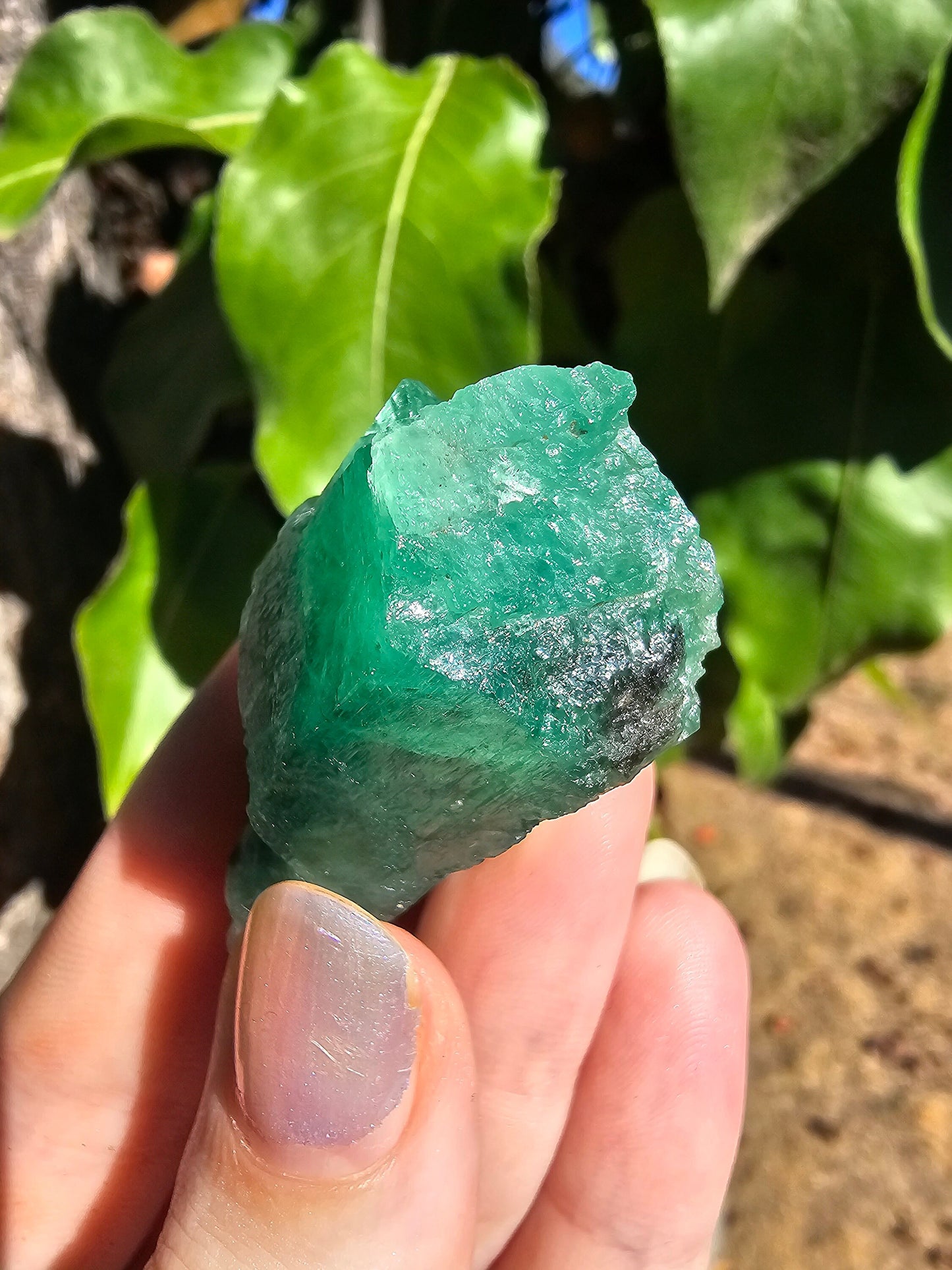 26g!! Raw Emerald Crystal w Sparkling Black Biotite, Chitral Pakistan, Rare Terminated Beryl, Green, Gemstone Collection, Jewelry, Rough Gem