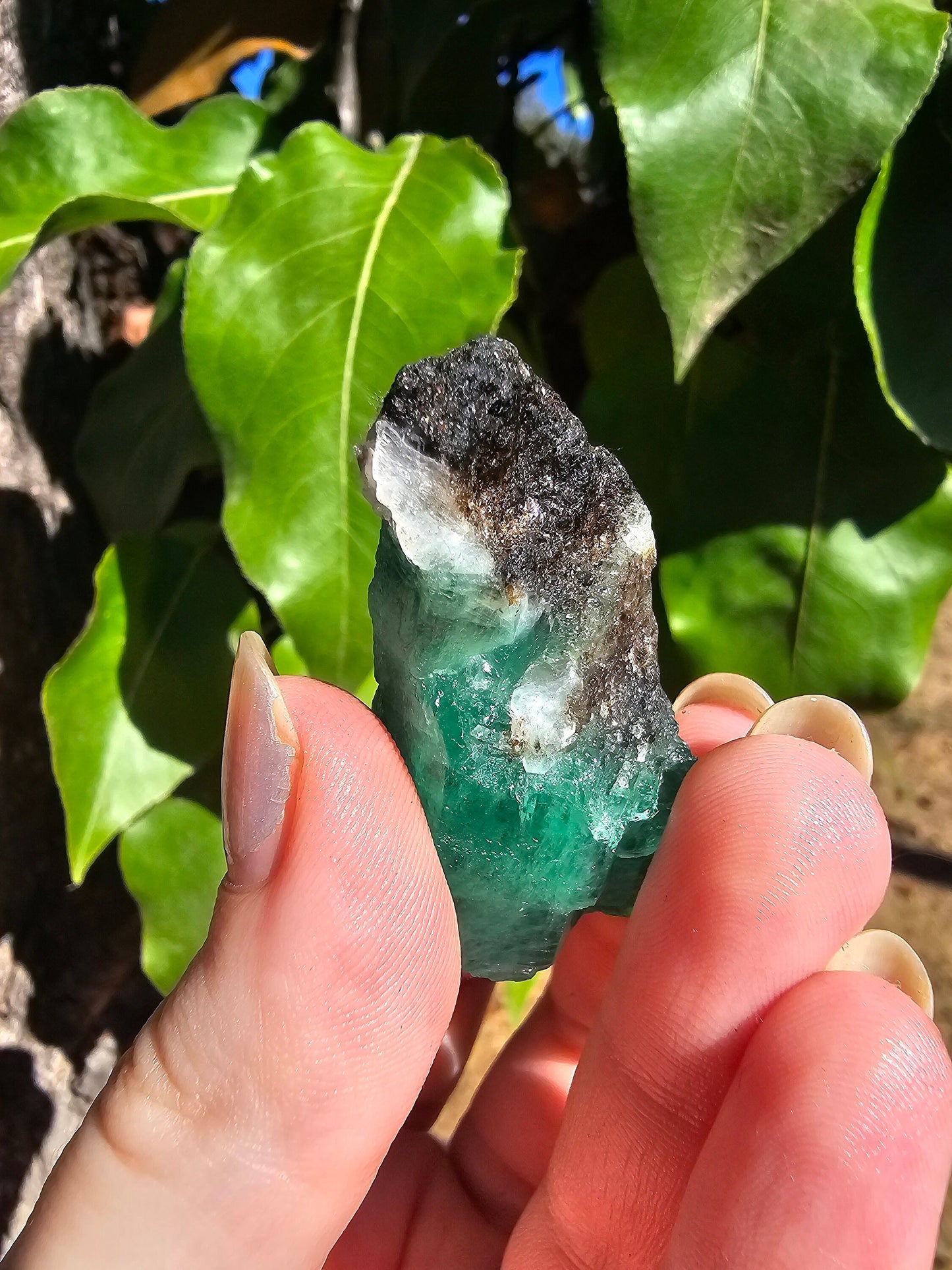 26g!! Raw Emerald Crystal w Sparkling Black Biotite, Chitral Pakistan, Rare Terminated Beryl, Green, Gemstone Collection, Jewelry, Rough Gem