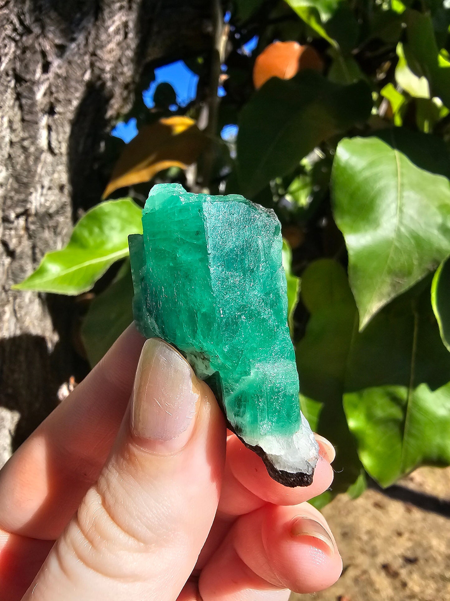 26g!! Raw Emerald Crystal w Sparkling Black Biotite, Chitral Pakistan, Rare Terminated Beryl, Green, Gemstone Collection, Jewelry, Rough Gem