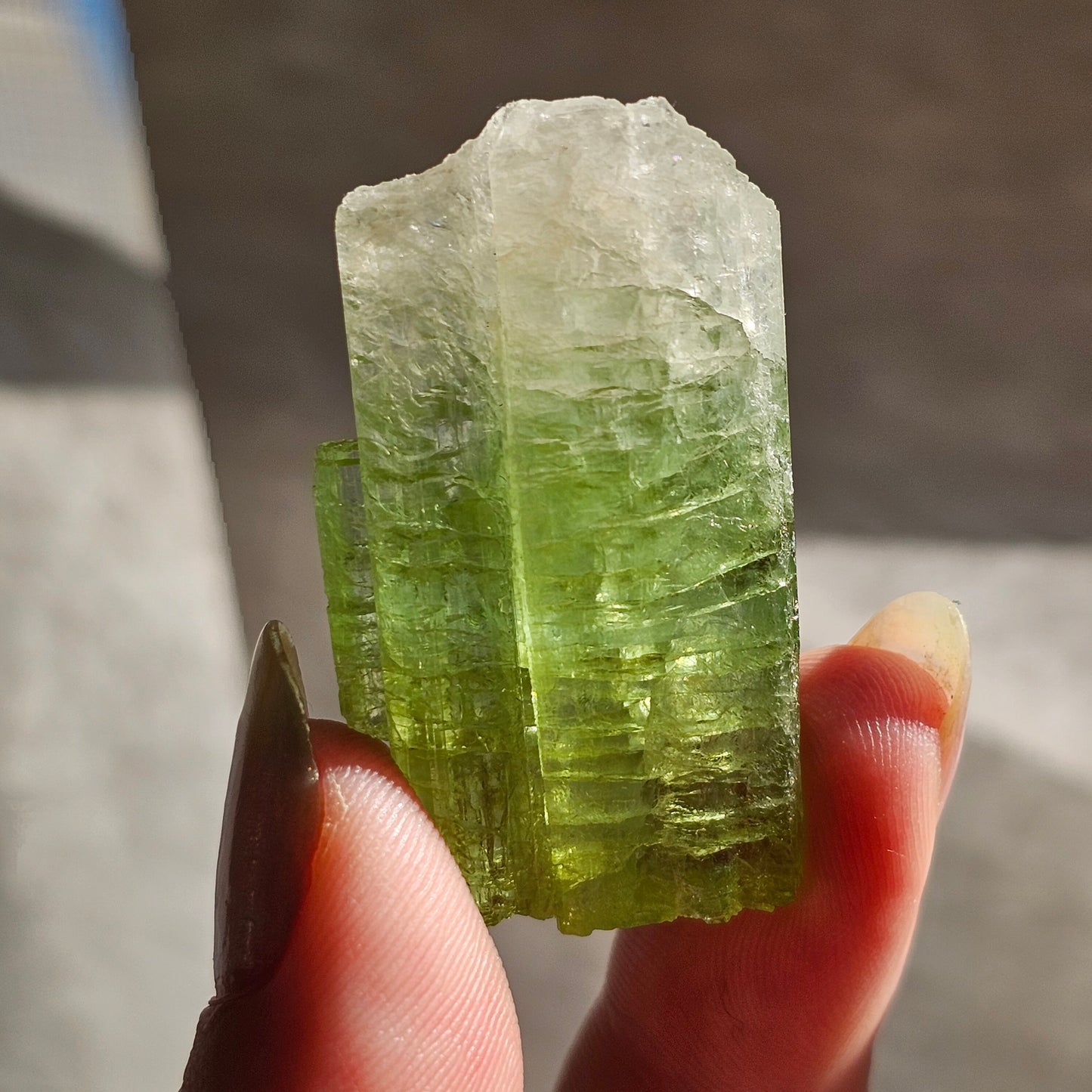 Green Tourmaline, 16.1g Large Specimen Grade Apple Green and White Achroic Elbaite, Tabular Tabby Crystal, Cruziero Brazil Collector Gem