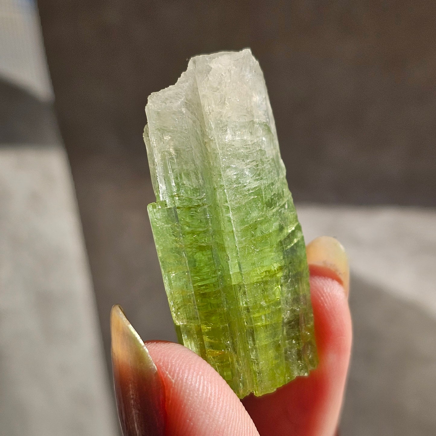 Green Tourmaline, 16.1g Large Specimen Grade Apple Green and White Achroic Elbaite, Tabular Tabby Crystal, Cruziero Brazil Collector Gem