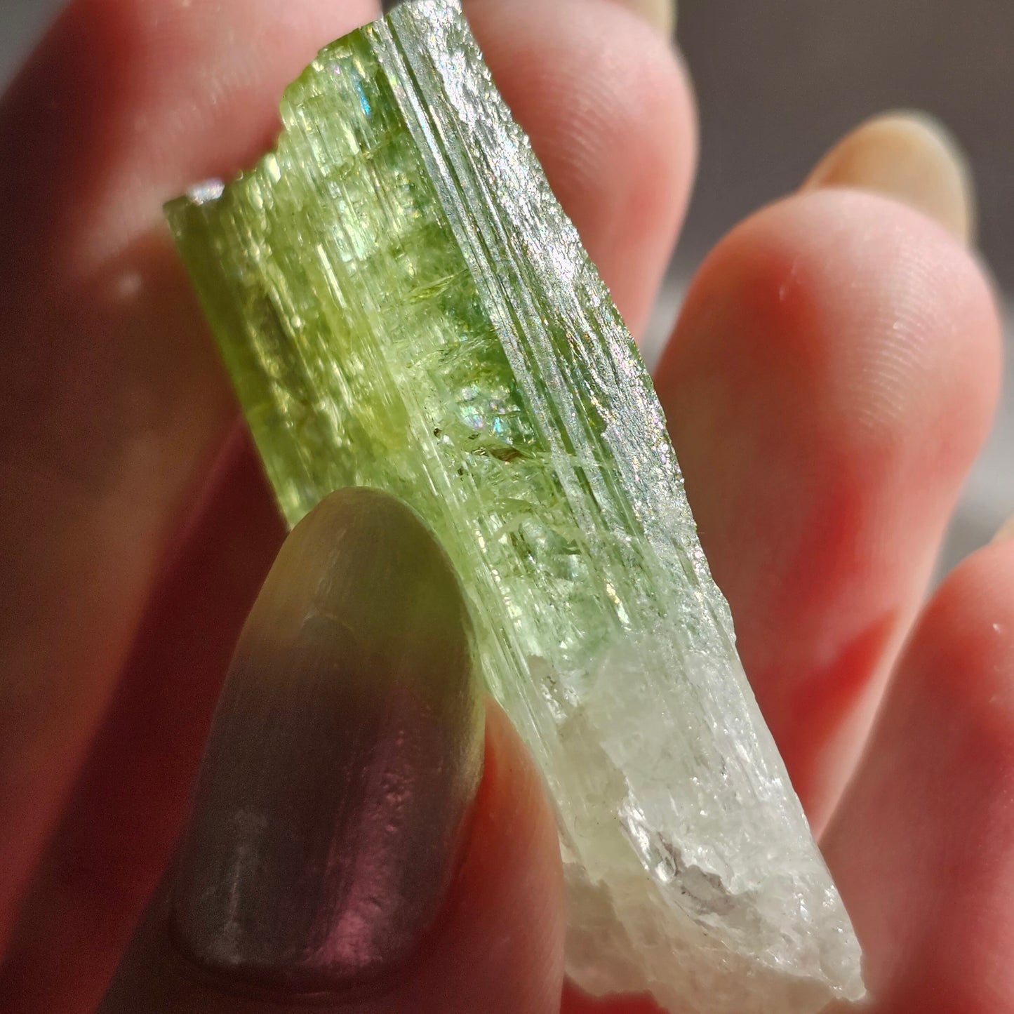 Green Tourmaline, 16.1g Large Specimen Grade Apple Green and White Achroic Elbaite, Tabular Tabby Crystal, Cruziero Brazil Collector Gem