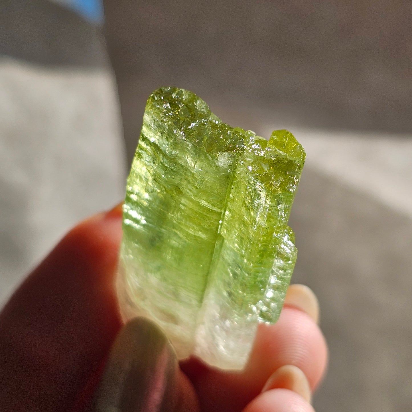 Green Tourmaline, 16.1g Large Specimen Grade Apple Green and White Achroic Elbaite, Tabular Tabby Crystal, Cruziero Brazil Collector Gem
