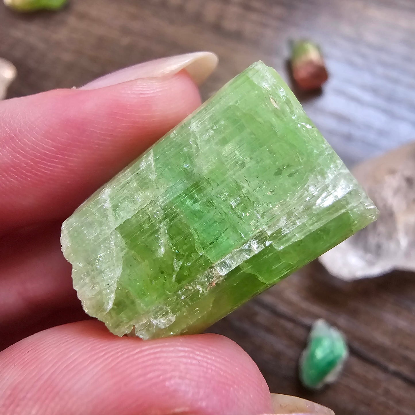 Tourmaline from the Cruziero Mine Brazil, Green Verdellite with Indicolite Navy Blue Termination, 14.3g Rough Raw Elbaite Crystal