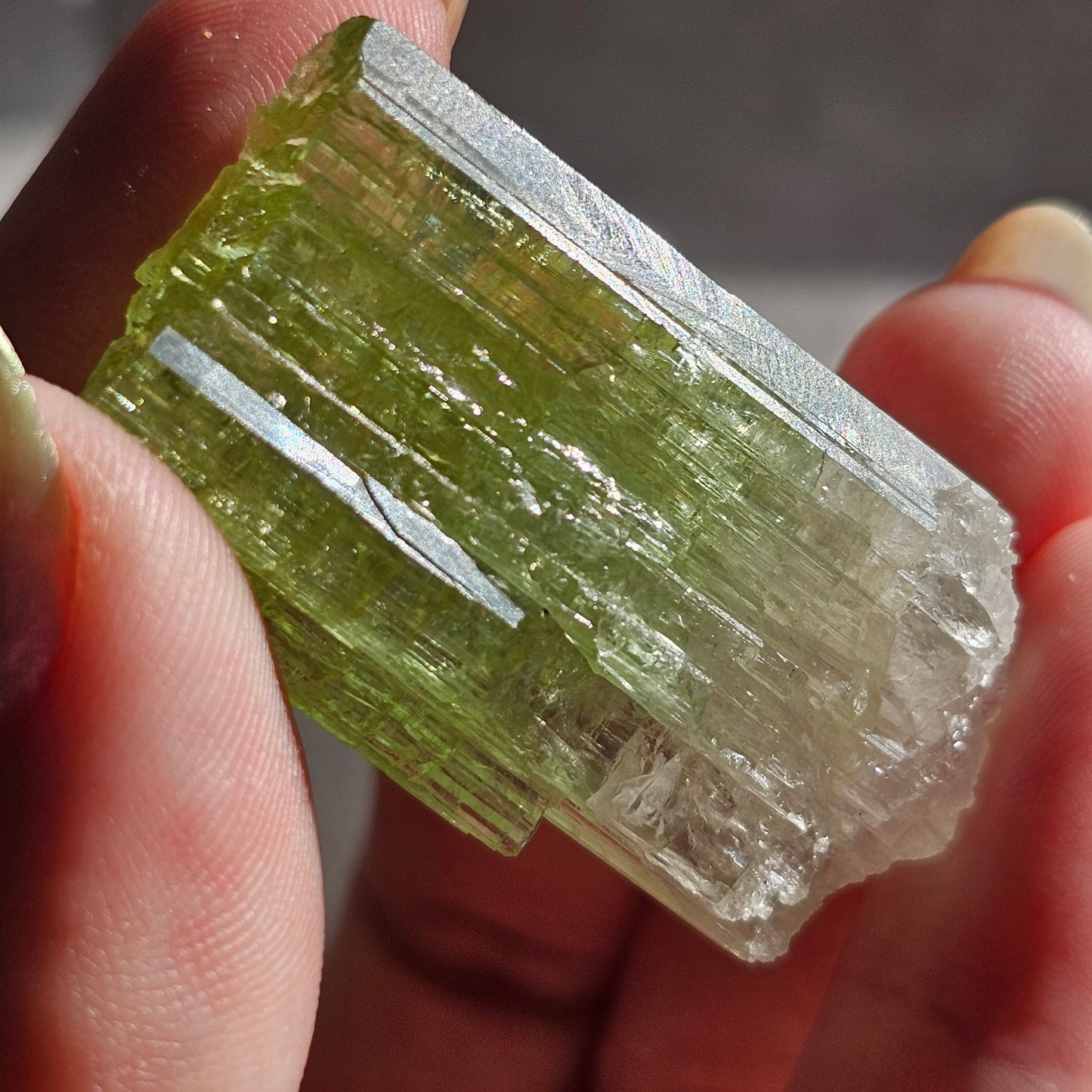Green Tourmaline, 16.1g Large Specimen Grade Apple Green and White Achroic Elbaite, Tabular Tabby Crystal, Cruziero Brazil Collector Gem