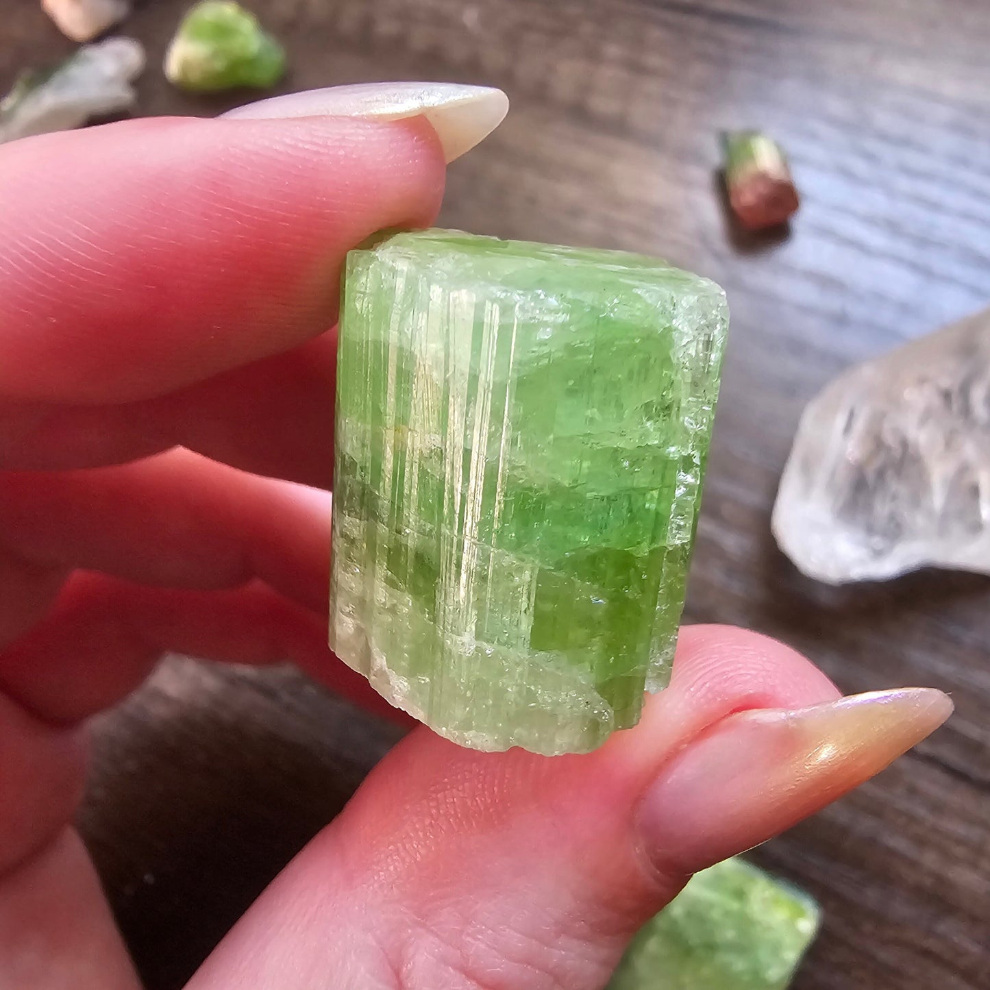 Tourmaline from the Cruziero Mine Brazil, Green Verdellite with Indicolite Navy Blue Termination, 14.3g Rough Raw Elbaite Crystal
