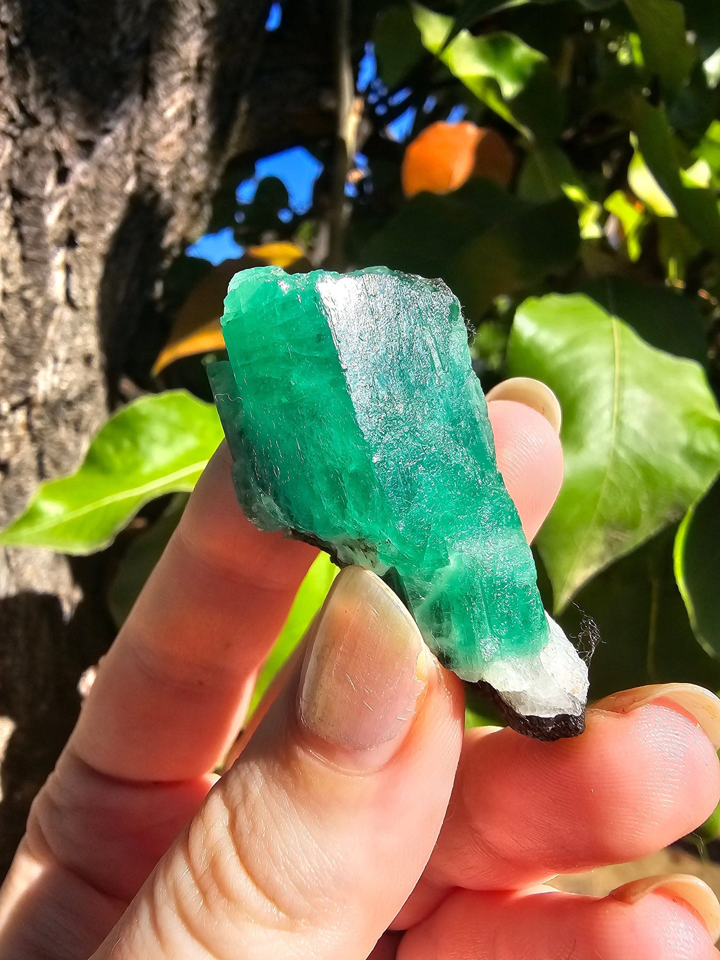 26g!! Raw Emerald Crystal w Sparkling Black Biotite, Chitral Pakistan, Rare Terminated Beryl, Green, Gemstone Collection, Jewelry, Rough Gem