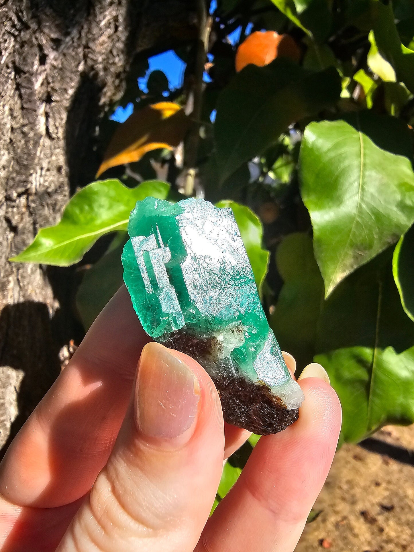 26g!! Raw Emerald Crystal w Sparkling Black Biotite, Chitral Pakistan, Rare Terminated Beryl, Green, Gemstone Collection, Jewelry, Rough Gem