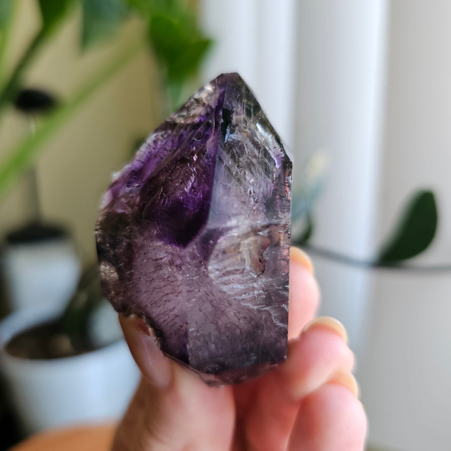 Shangaan Amethyst, New Find, Rare Raw Crystal, Saturated Purple, Phantom Quartz, Smokey Amethyst Scepter, Hematite Inclusions, 62g