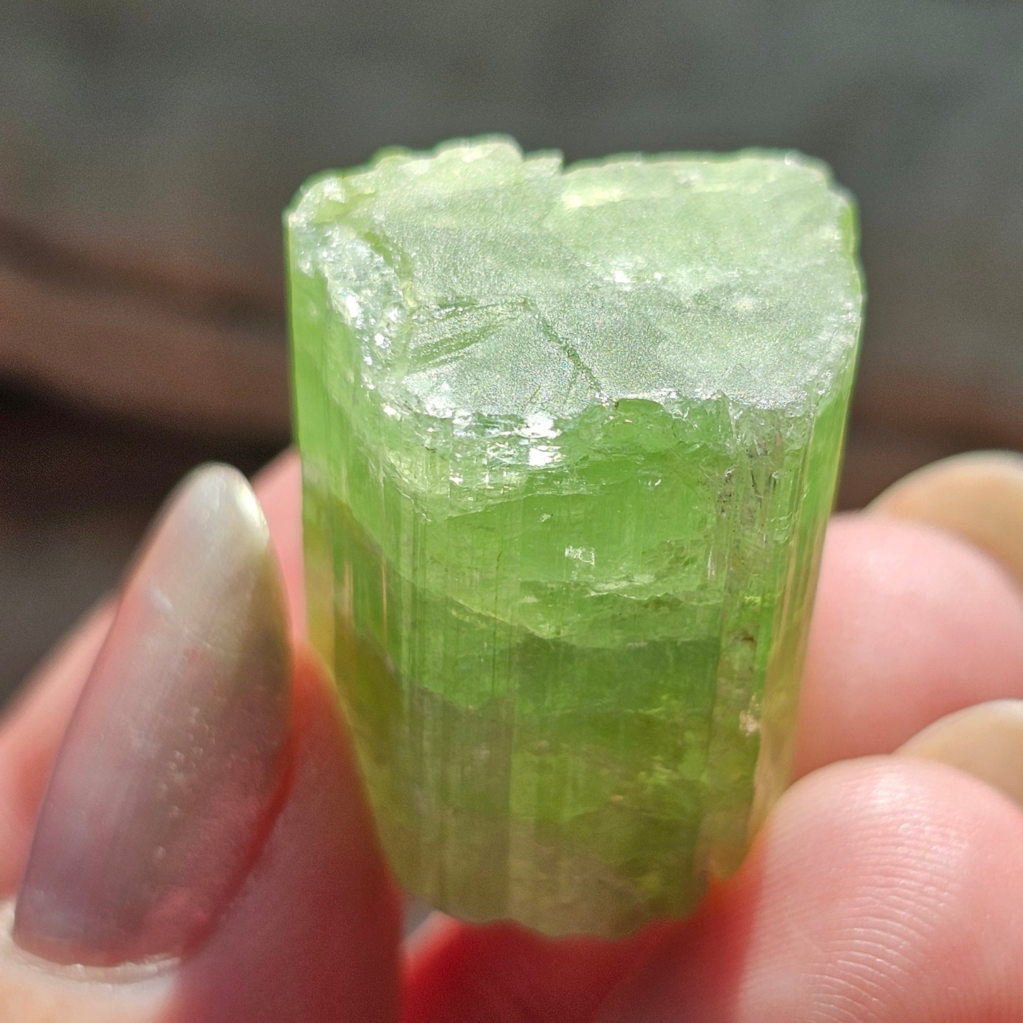 Tourmaline from the Cruziero Mine Brazil, Green Verdellite with Indicolite Navy Blue Termination, 14.3g Rough Raw Elbaite Crystal