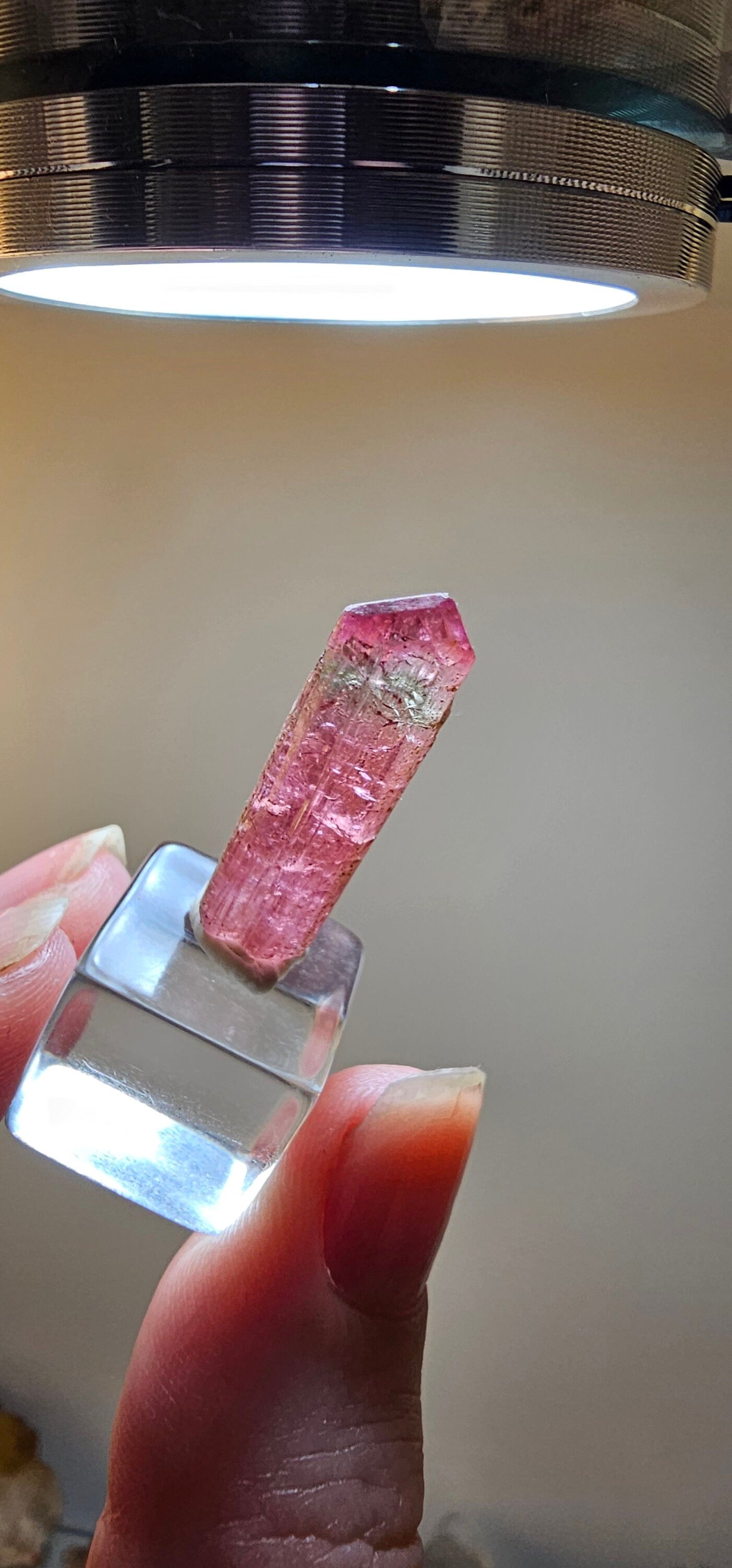 Bright Pink and Blue Rubellite Tourmaline, 2.3g Jewelry Sized, Collector Crystal, Elbaite Specimen from Nigeria, Phantom, Raw/Untreated