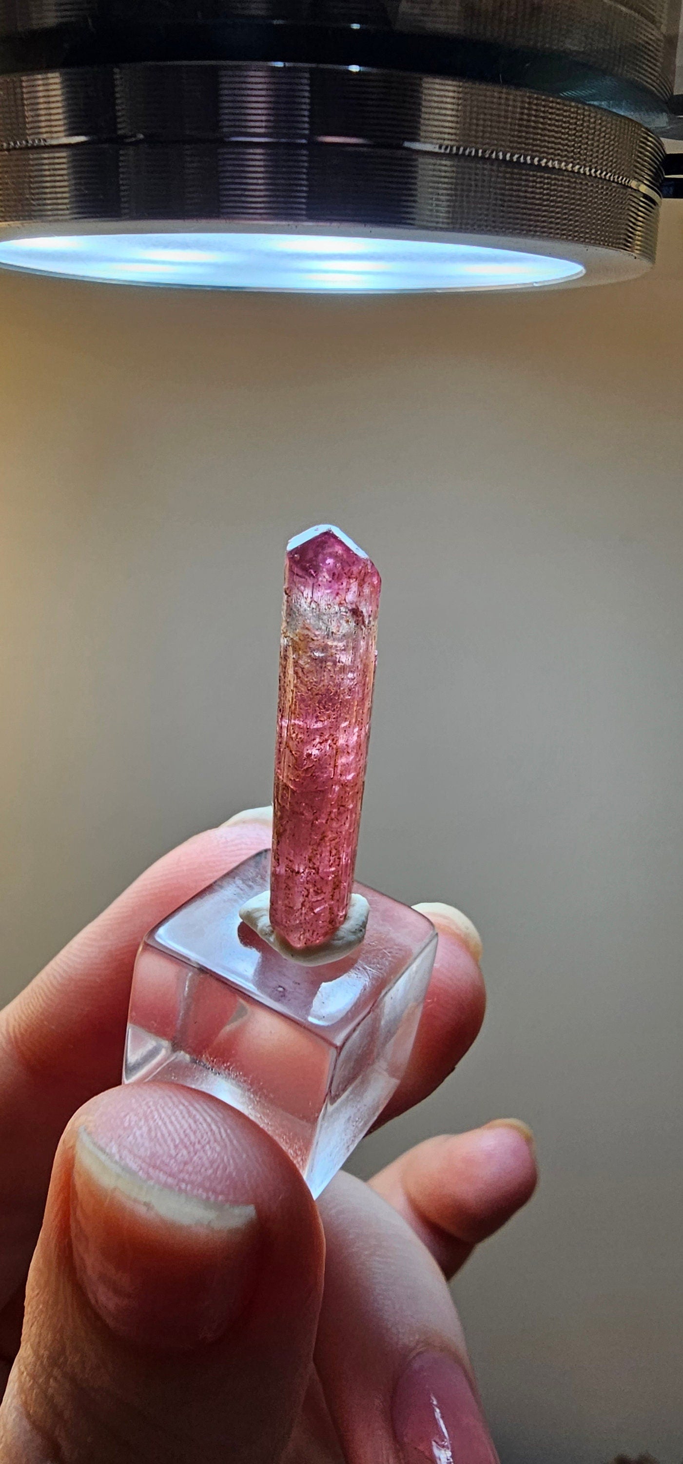 Bright Pink and Blue Rubellite Tourmaline, 2.3g Jewelry Sized, Collector Crystal, Elbaite Specimen from Nigeria, Phantom, Raw/Untreated