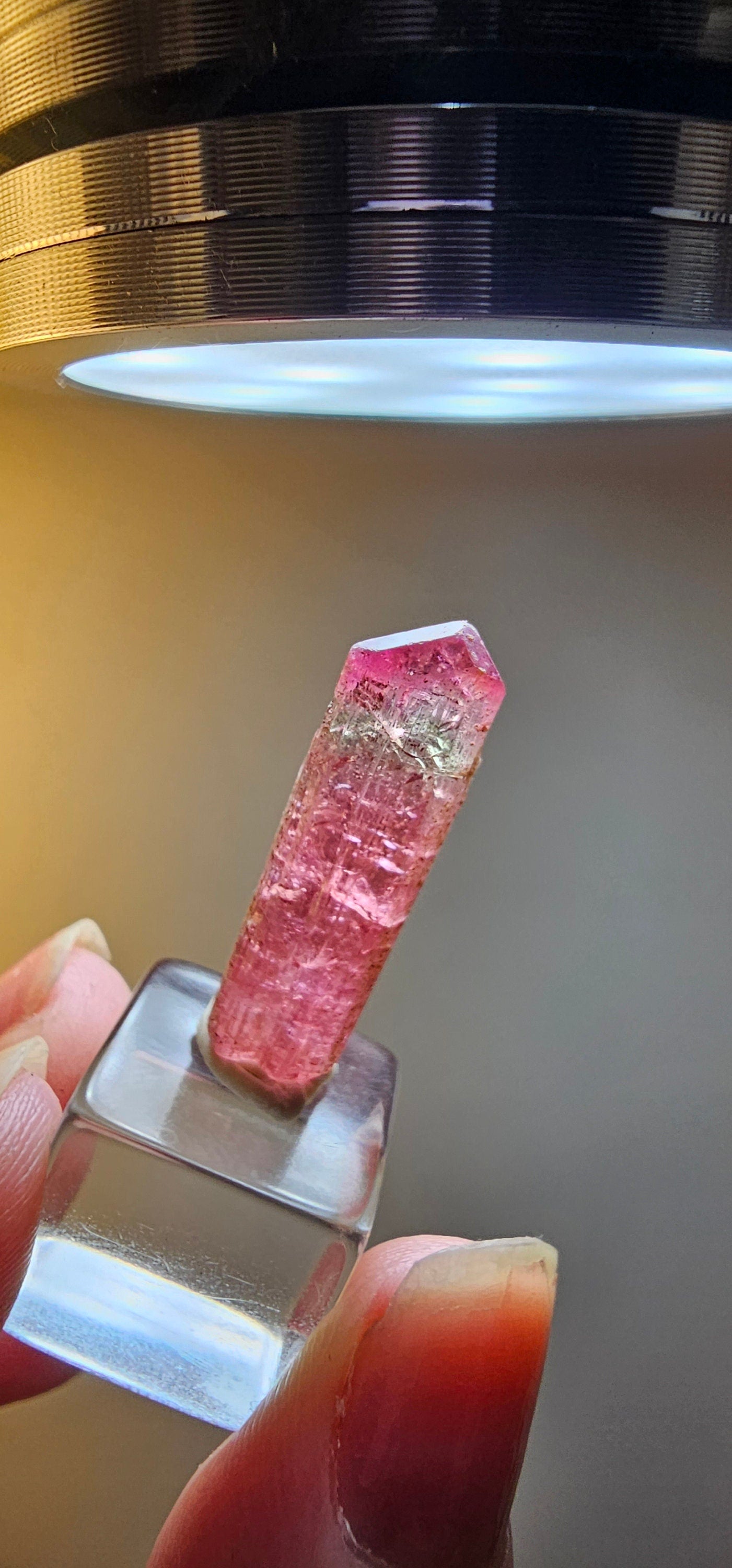 Bright Pink and Blue Rubellite Tourmaline, 2.3g Jewelry Sized, Collector Crystal, Elbaite Specimen from Nigeria, Phantom, Raw/Untreated
