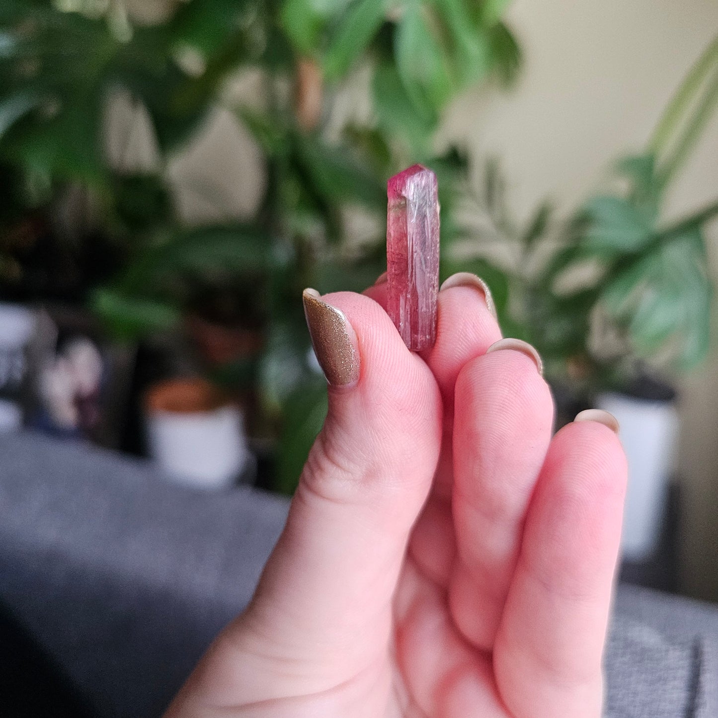 Bright Pink and Blue Rubellite Tourmaline, 2.3g Jewelry Sized, Collector Crystal, Elbaite Specimen from Nigeria, Phantom, Raw/Untreated