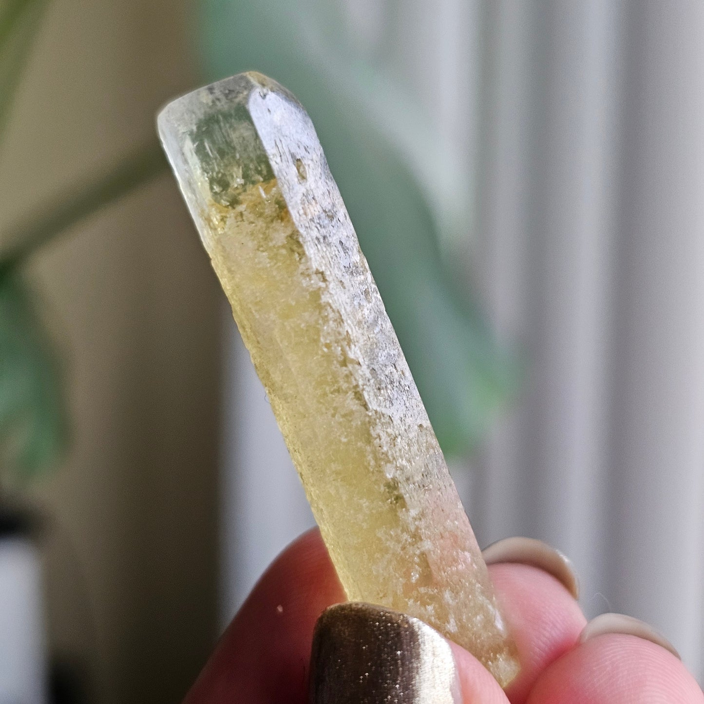 Bright Yellow Beryl, 8g Terminated Pencil Shaped, Raw Crystal, Beryl var. Heliodor, Elongated Gemstone, Banana Yellow Gem