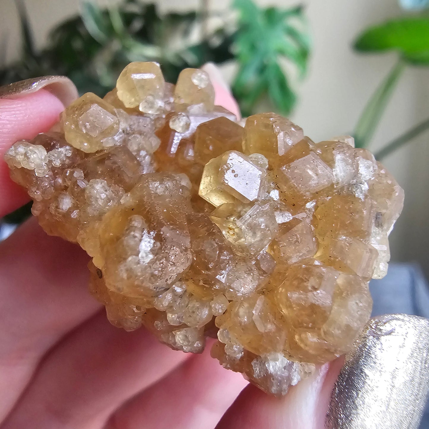 Rare Golden Yellow Spessartine Garnet, 35.4g Floater Crystal Cluster, Rare Raw Natural Gemstone Specimen for Collection, Tanzania Origin