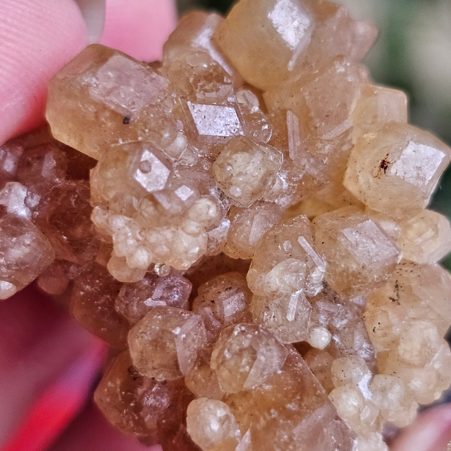 Rare Golden Yellow Spessartine Garnet, 35.4g Floater Crystal Cluster, Rare Raw Natural Gemstone Specimen for Collection, Tanzania Origin