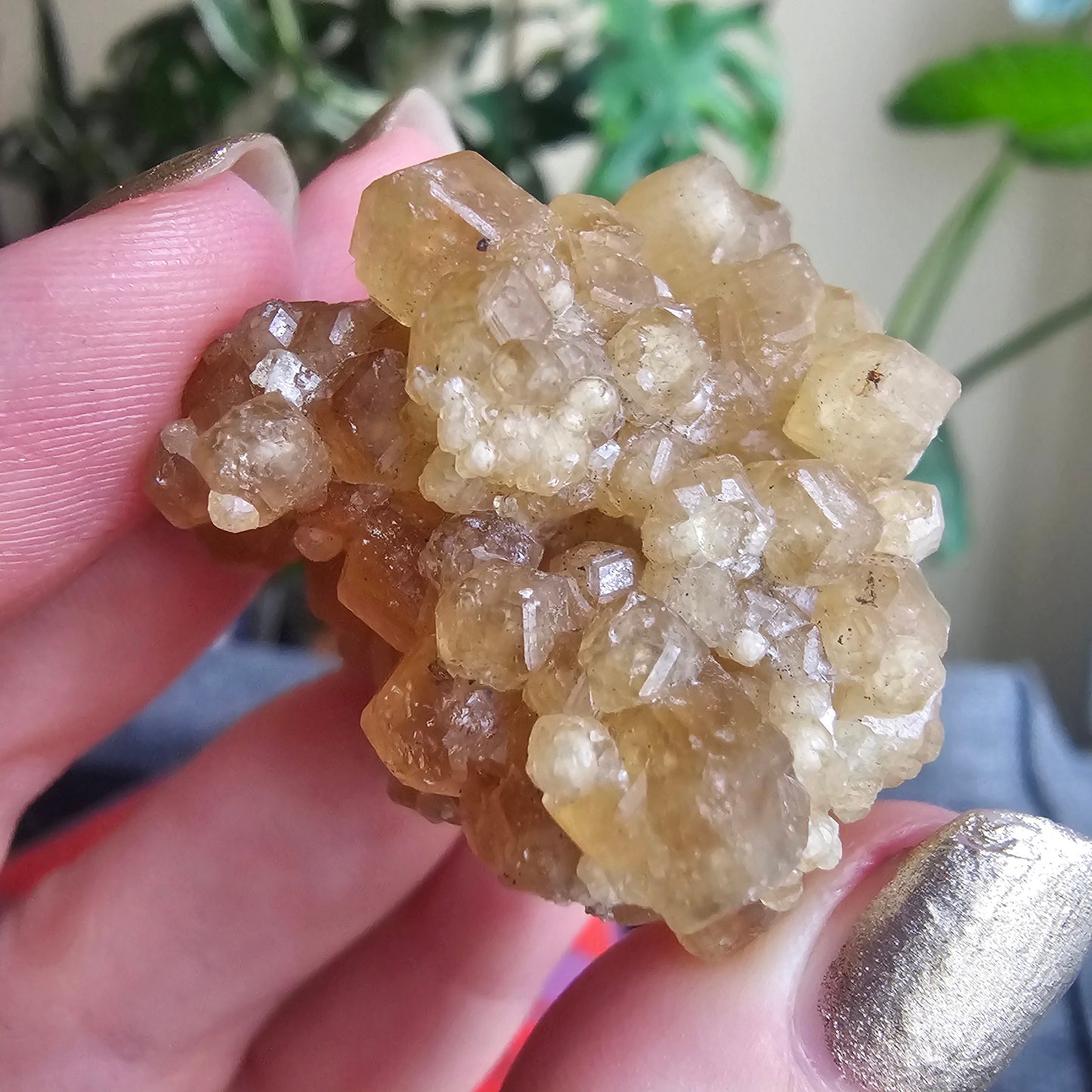 Rare Golden Yellow Spessartine Garnet, 35.4g Floater Crystal Cluster, Rare Raw Natural Gemstone Specimen for Collection, Tanzania Origin