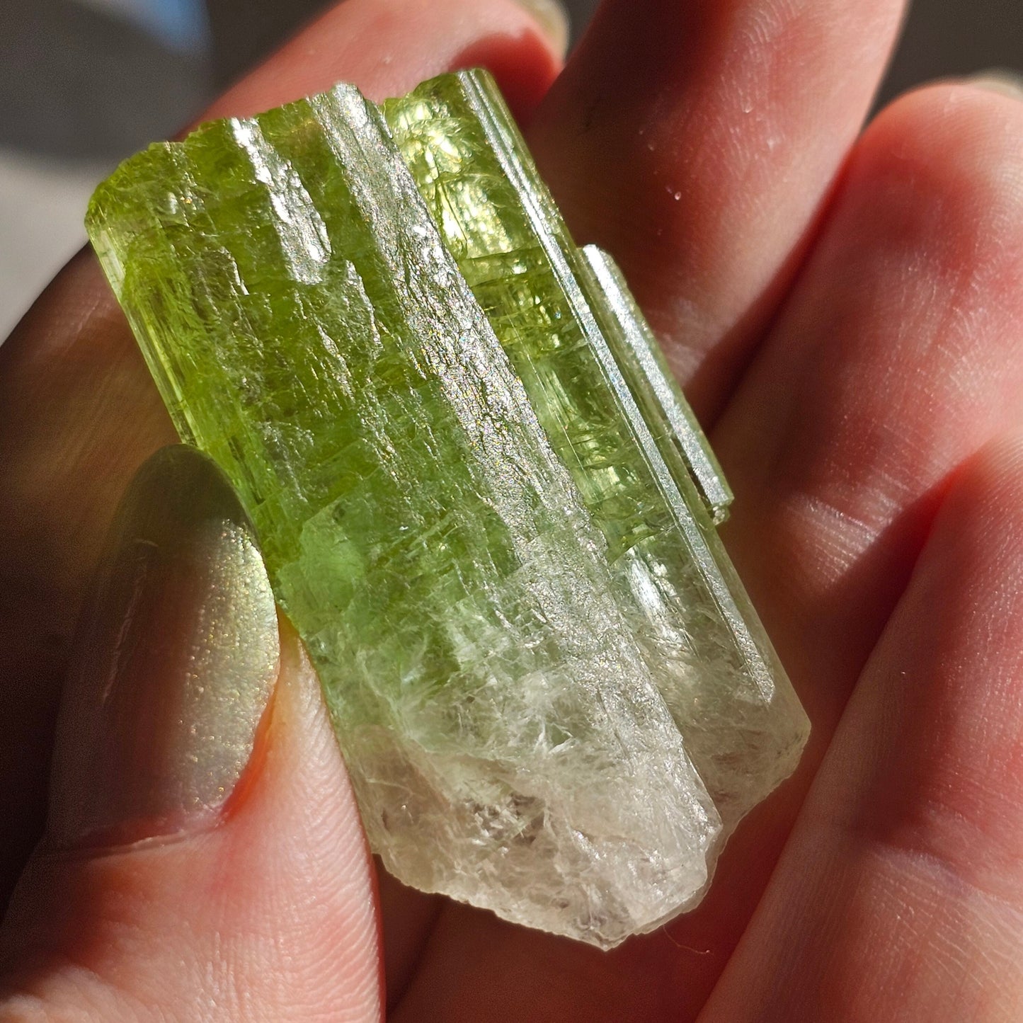 Green Tourmaline, 16.1g Large Specimen Grade Apple Green and White Achroic Elbaite, Tabular Tabby Crystal, Cruziero Brazil Collector Gem
