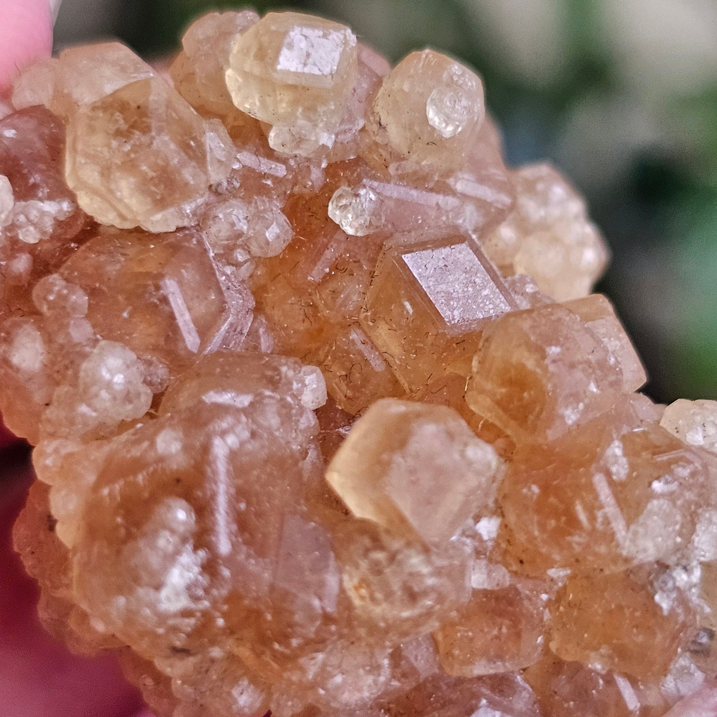 Rare Golden Yellow Spessartine Garnet, 35.4g Floater Crystal Cluster, Rare Raw Natural Gemstone Specimen for Collection, Tanzania Origin