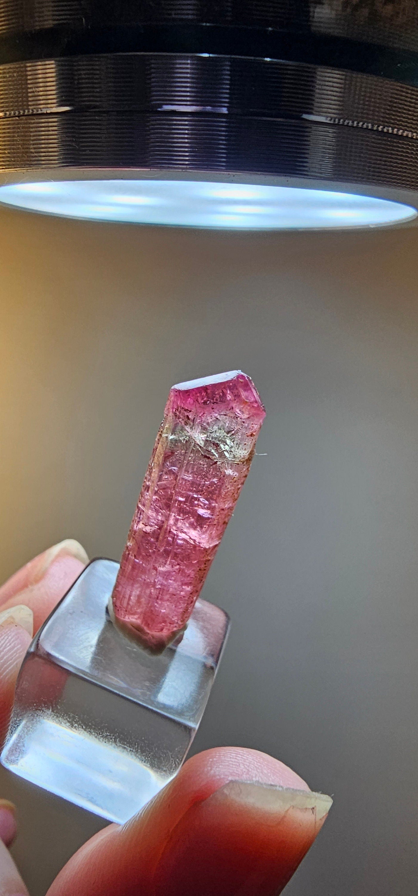 Bright Pink and Blue Rubellite Tourmaline, 2.3g Jewelry Sized, Collector Crystal, Elbaite Specimen from Nigeria, Phantom, Raw/Untreated