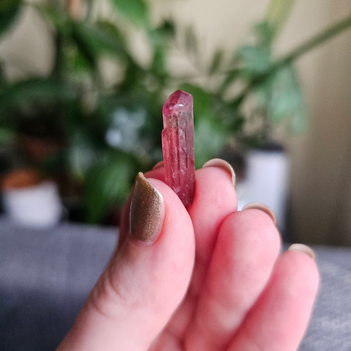 Bright Pink and Blue Rubellite Tourmaline, 2.3g Jewelry Sized, Collector Crystal, Elbaite Specimen from Nigeria, Phantom, Raw/Untreated