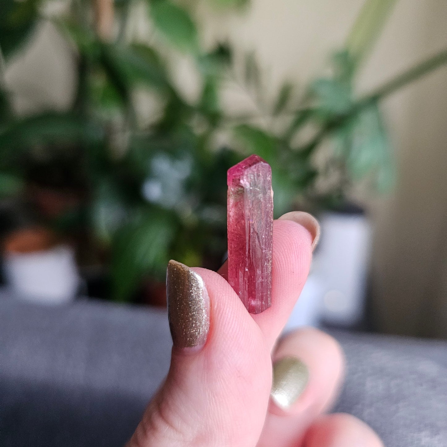 Bright Pink and Blue Rubellite Tourmaline, 2.3g Jewelry Sized, Collector Crystal, Elbaite Specimen from Nigeria, Phantom, Raw/Untreated