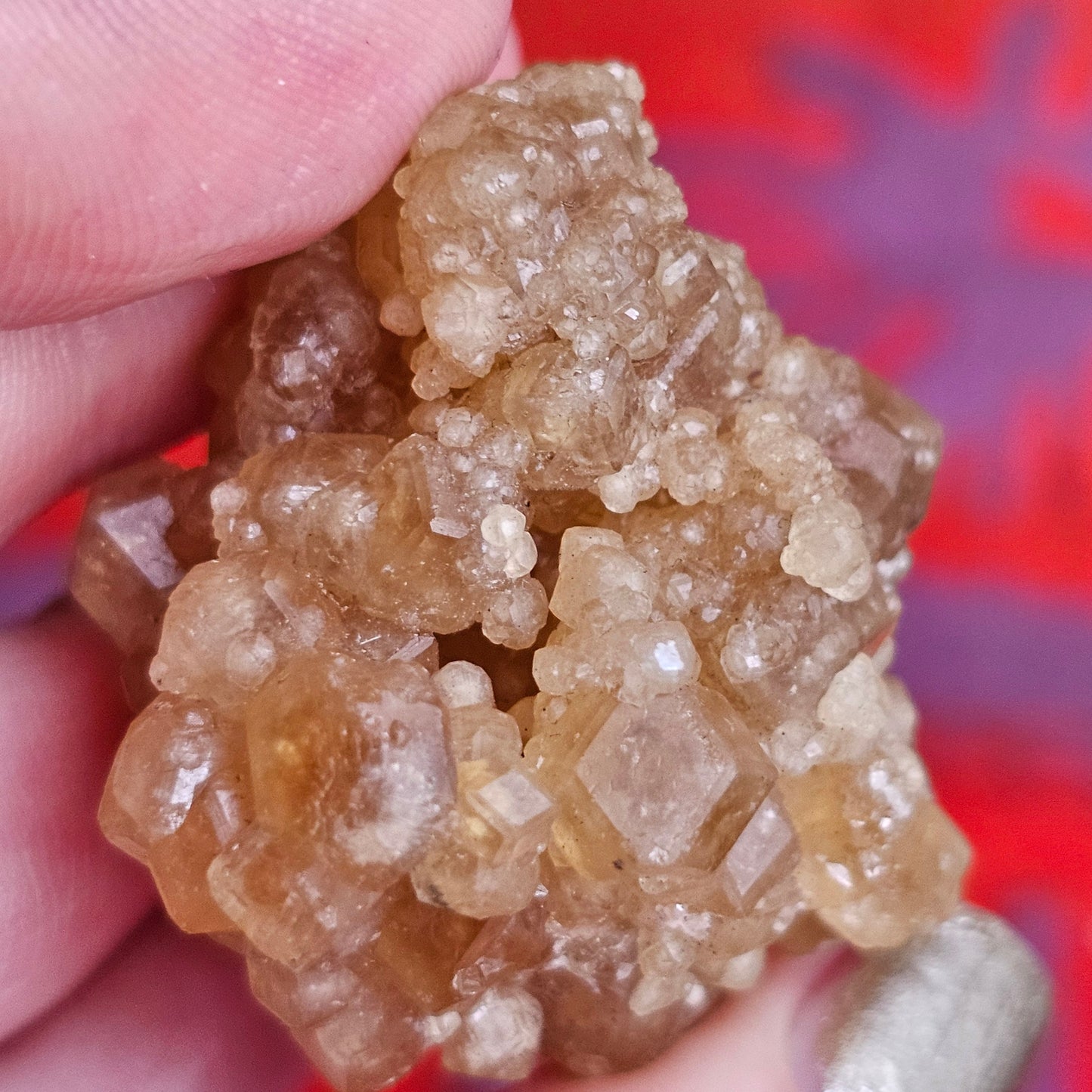 Rare Golden Yellow Spessartine Garnet, 35.4g Floater Crystal Cluster, Rare Raw Natural Gemstone Specimen for Collection, Tanzania Origin