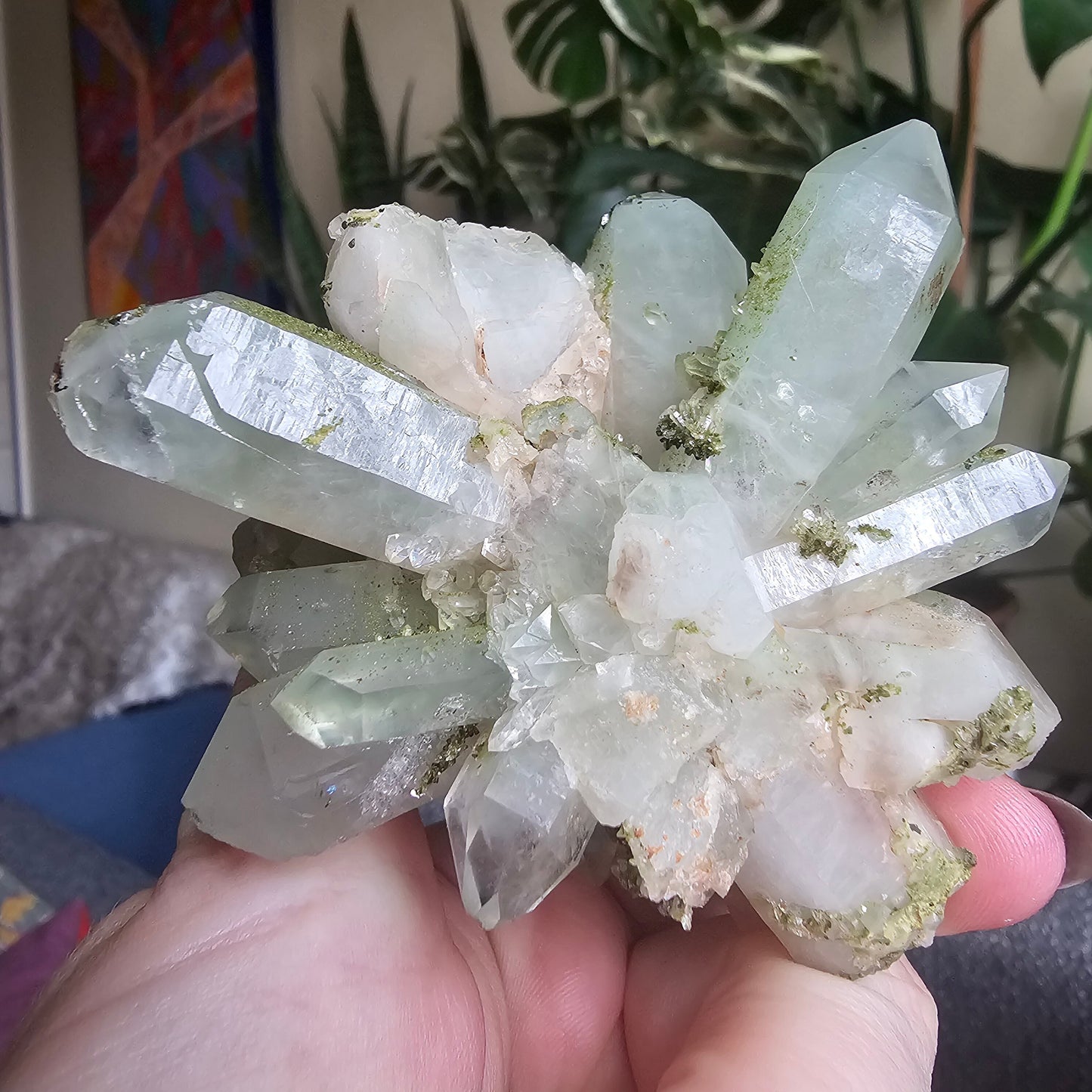Very Rare Flowering Quartz with Fuschite and Chlorite Phantoms