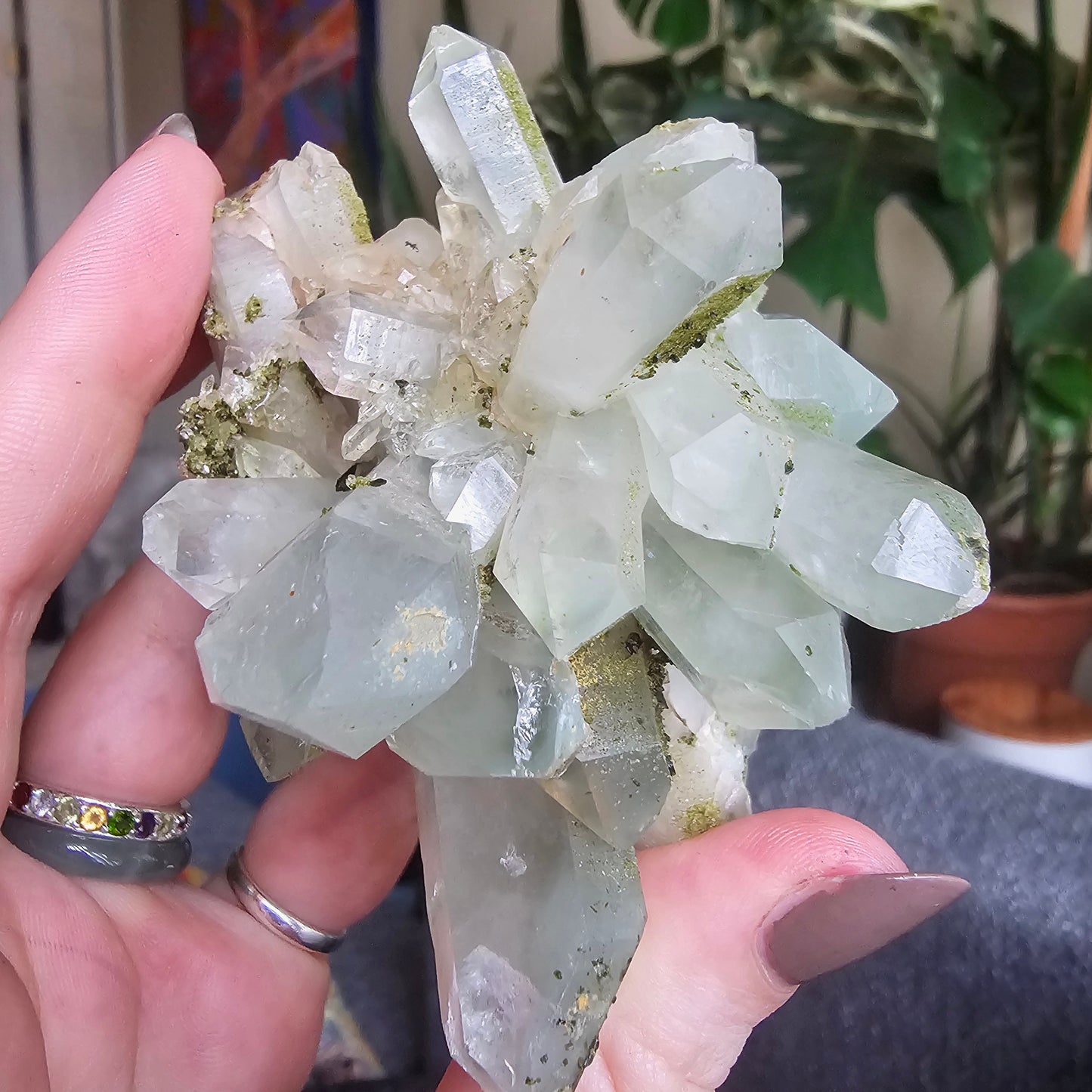 Very Rare Flowering Quartz with Fuschite and Chlorite Phantoms