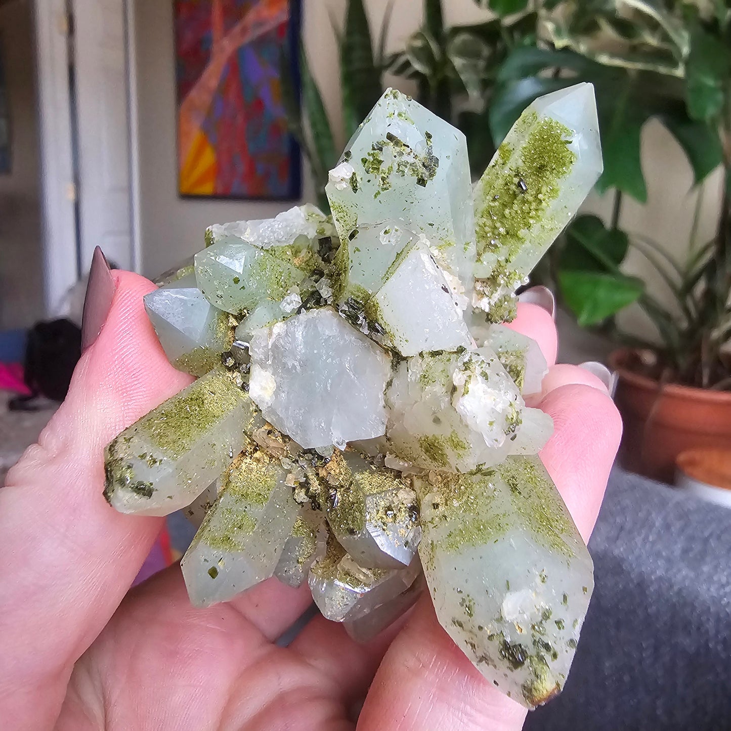 Very Rare Flowering Quartz with Fuschite and Chlorite Phantoms