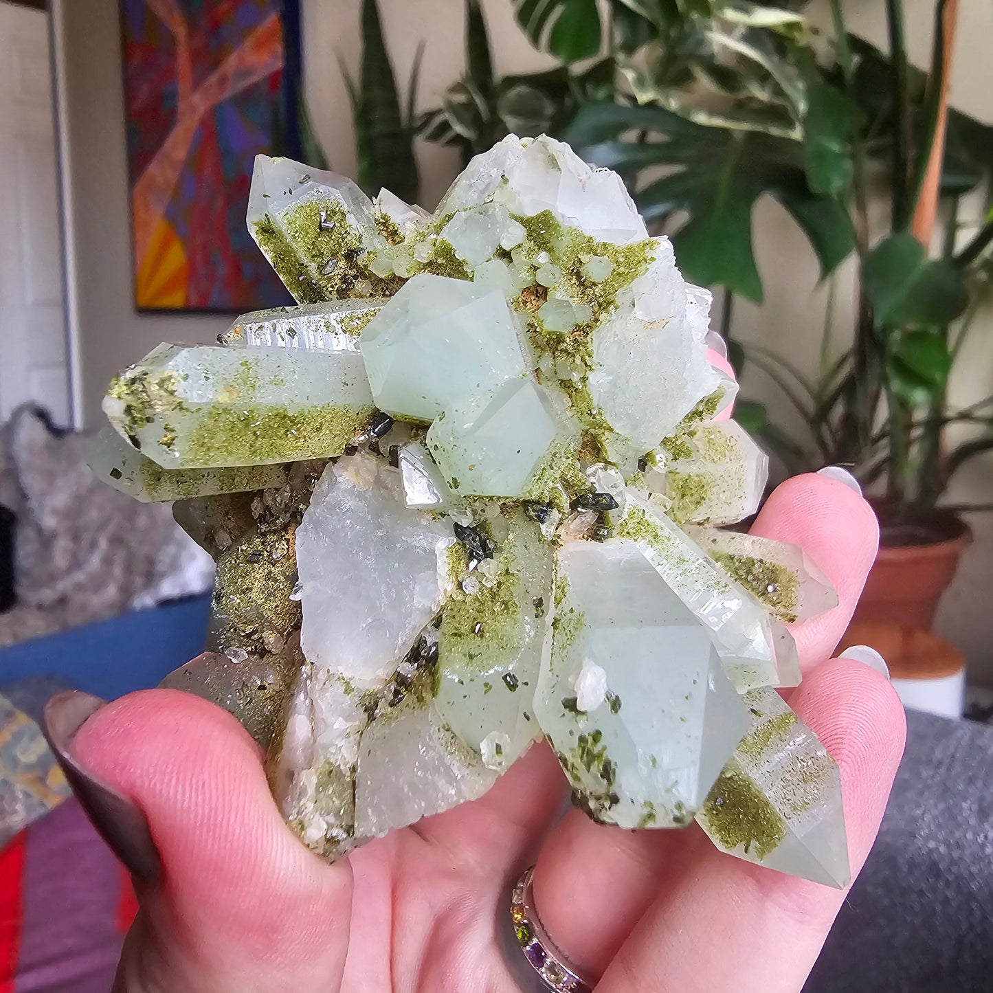 Very Rare Flowering Quartz with Fuschite and Chlorite Phantoms