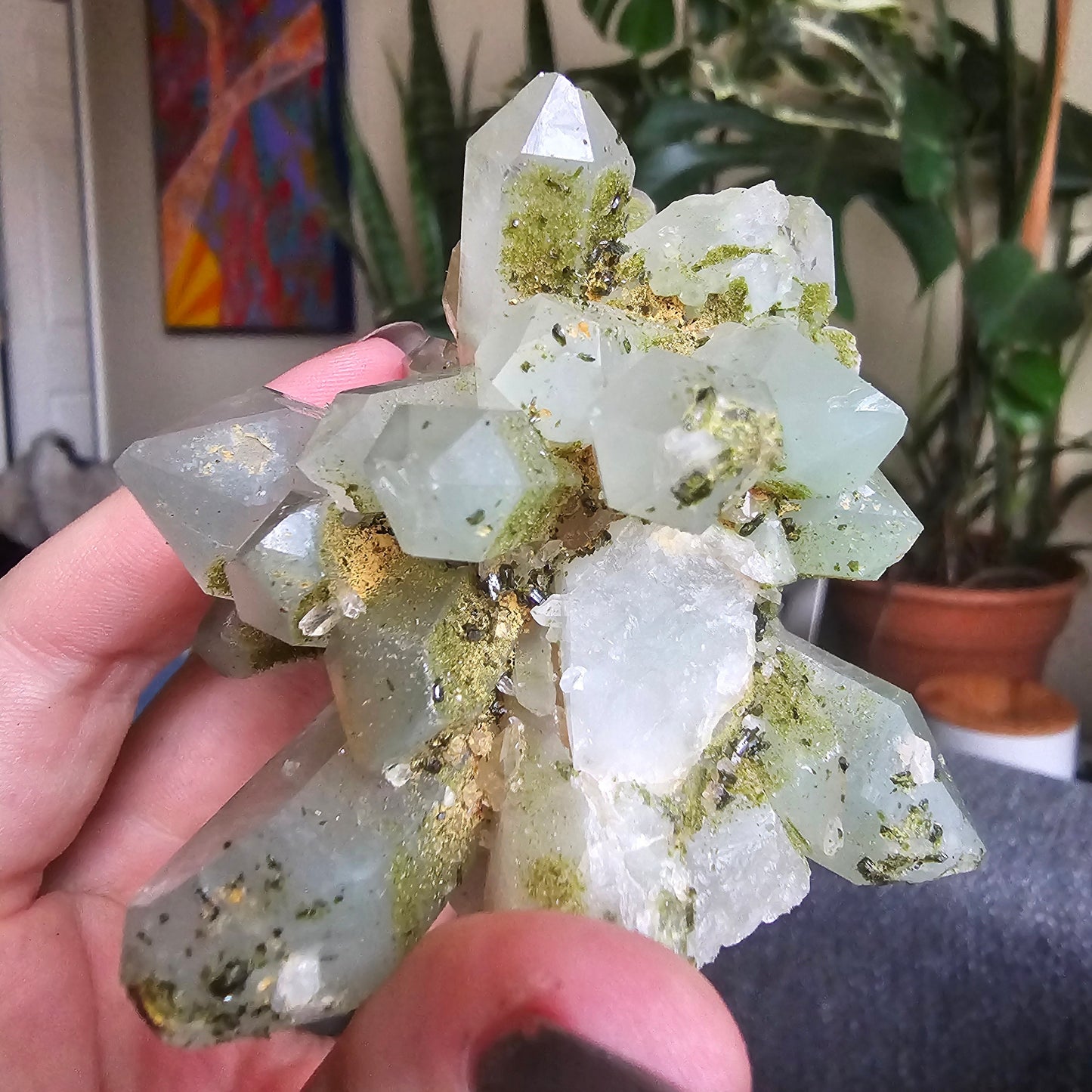 Very Rare Flowering Quartz with Fuschite and Chlorite Phantoms