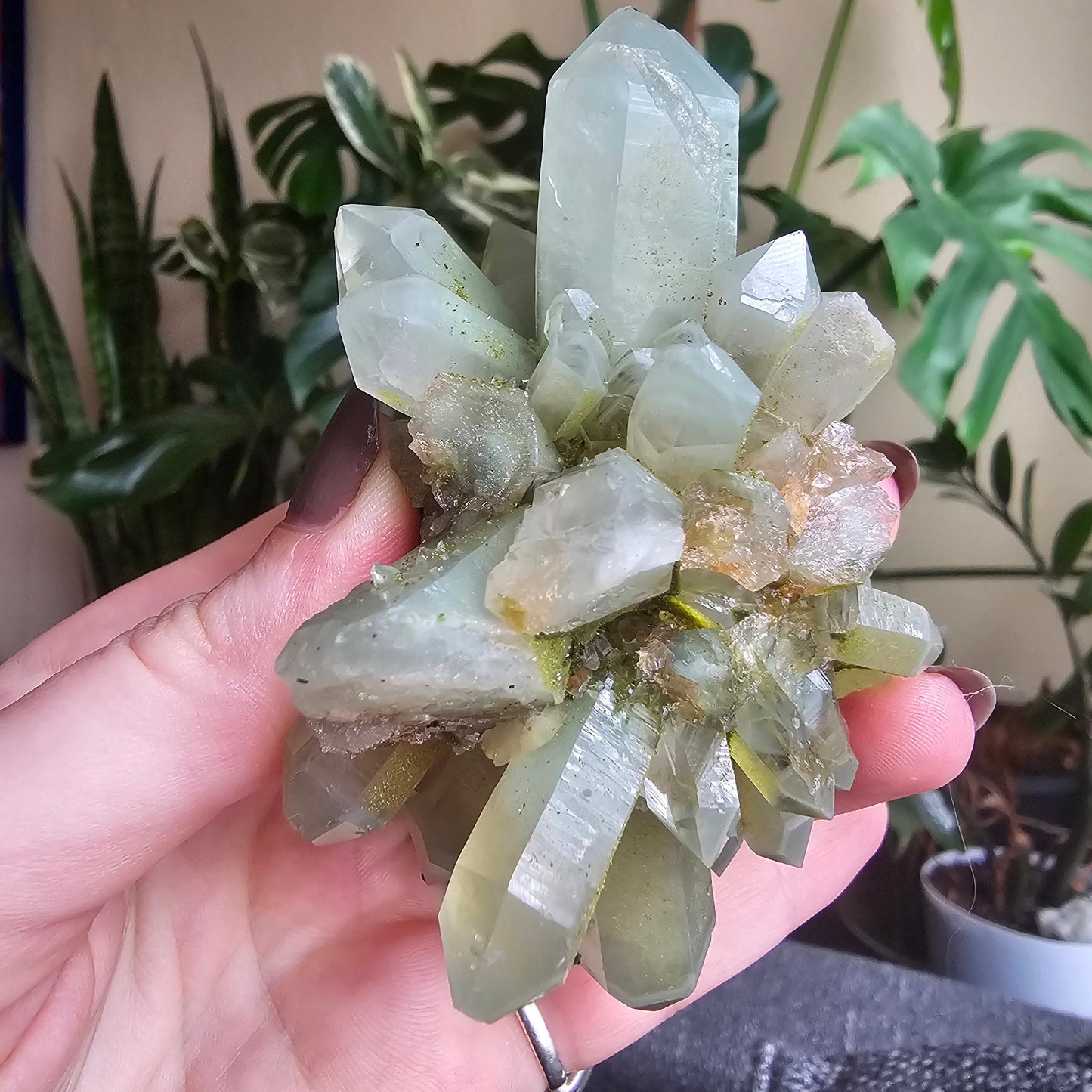 Rare Flowering / Radial Quartz with Fuschite, Chlorite, Phantoms, Inclusions, Epidote Glitter Coating, Top New Find, Hakkari Turkey