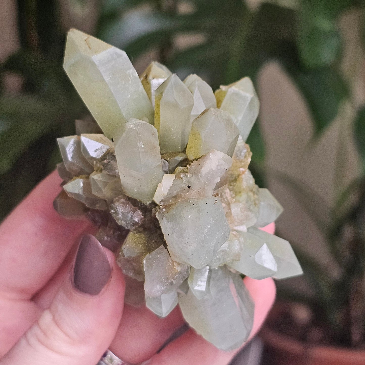 Rare Flowering / Radial Quartz with Fuschite, Chlorite, Phantoms, Inclusions, Epidote Glitter Coating, Top New Find, Hakkari Turkey