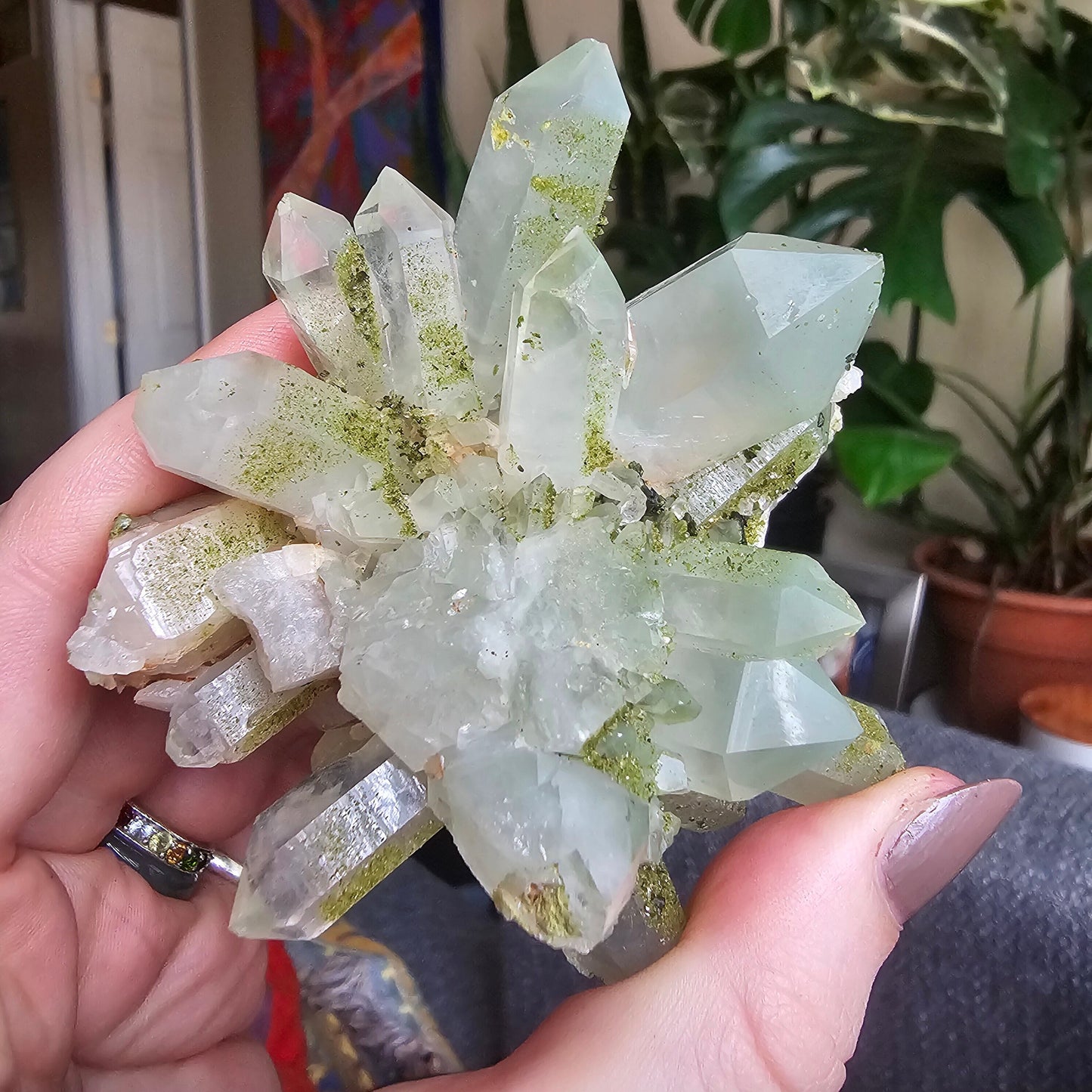Very Rare Flowering Quartz with Fuschite and Chlorite Phantoms