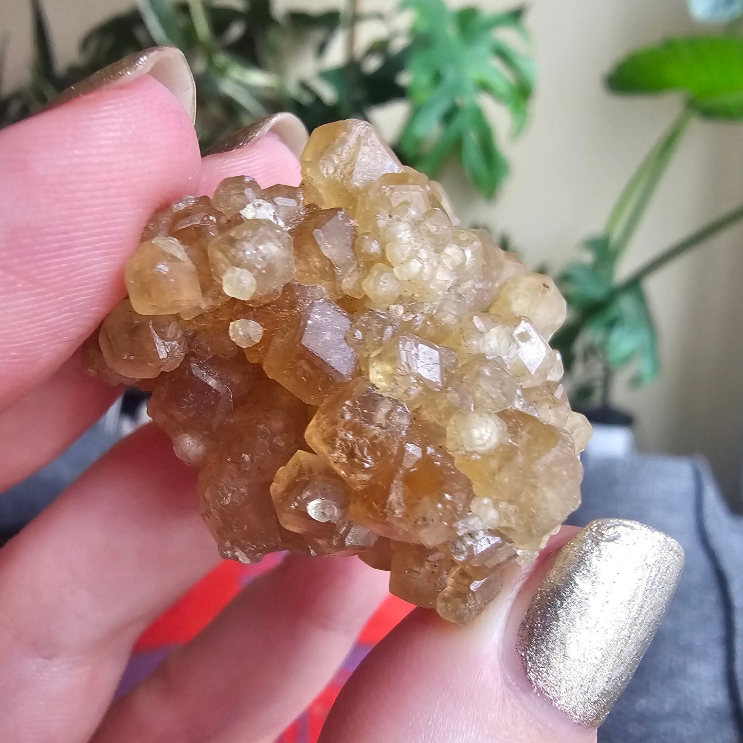 Rare Golden Yellow Spessartine Garnet, 35.4g Floater Crystal Cluster, Rare Raw Natural Gemstone Specimen for Collection, Tanzania Origin