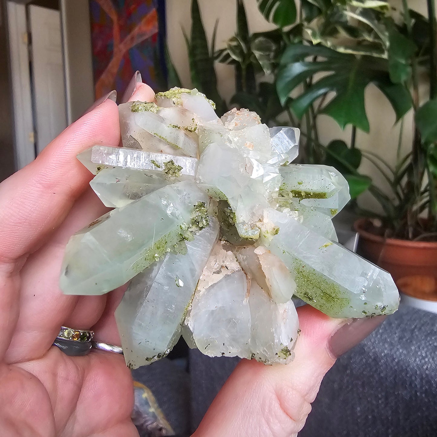 Very Rare Flowering Quartz with Fuschite and Chlorite Phantoms