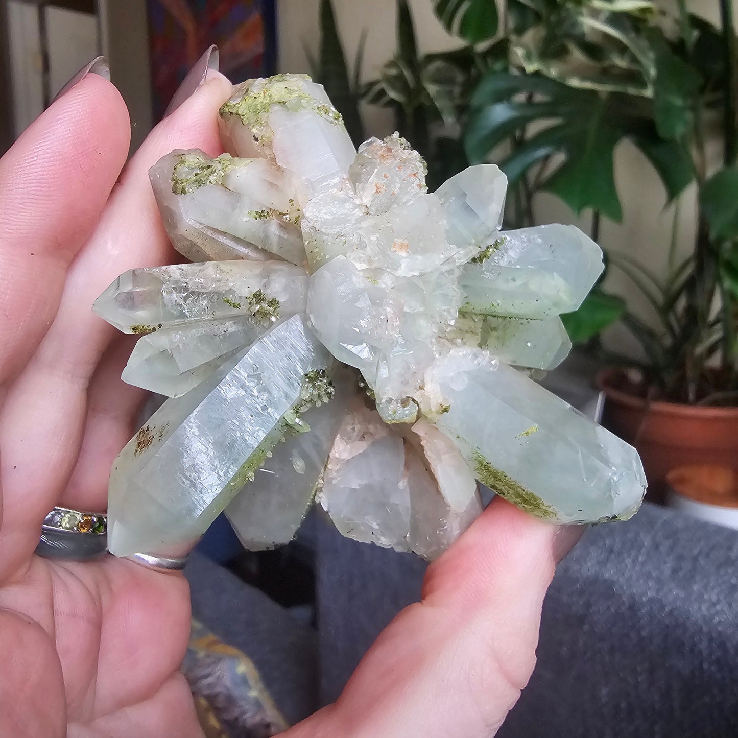 Very Rare Flowering Quartz with Fuschite and Chlorite Phantoms